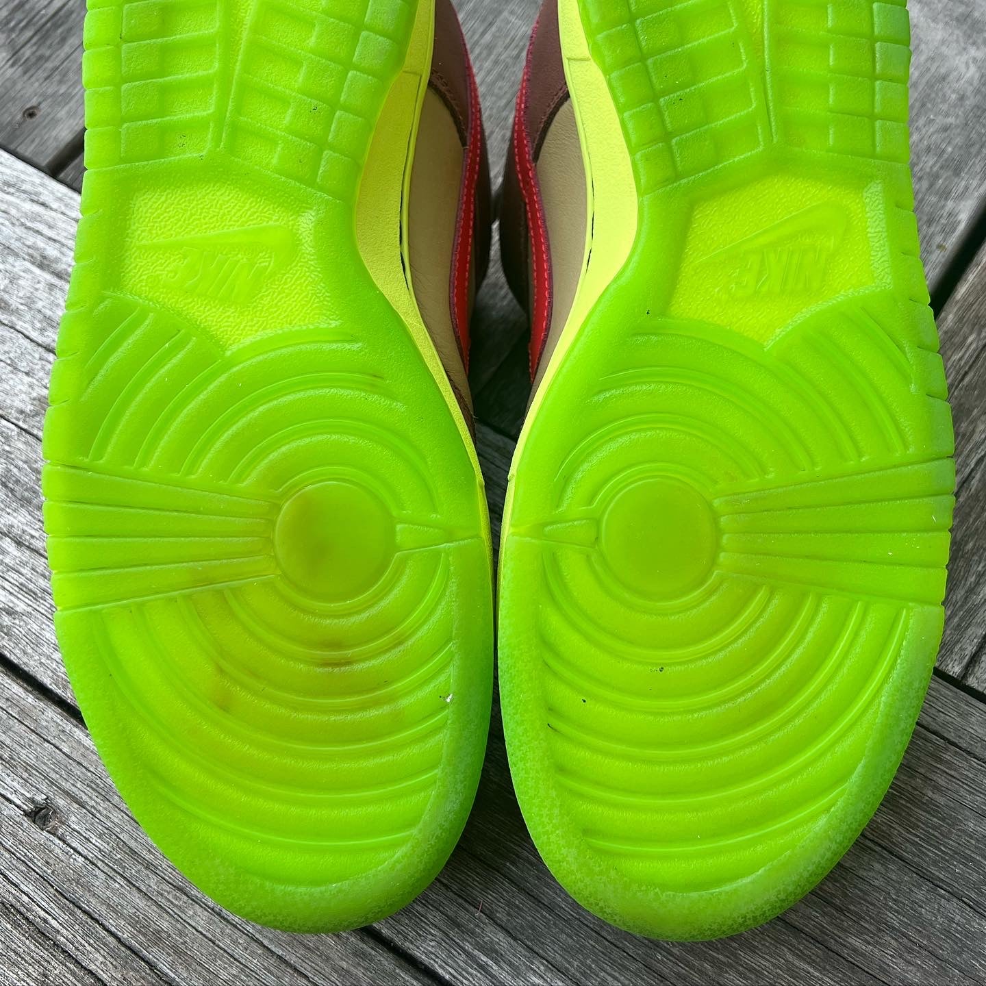 Nike SB Dunk Low Toxic Sea Robin Size 10