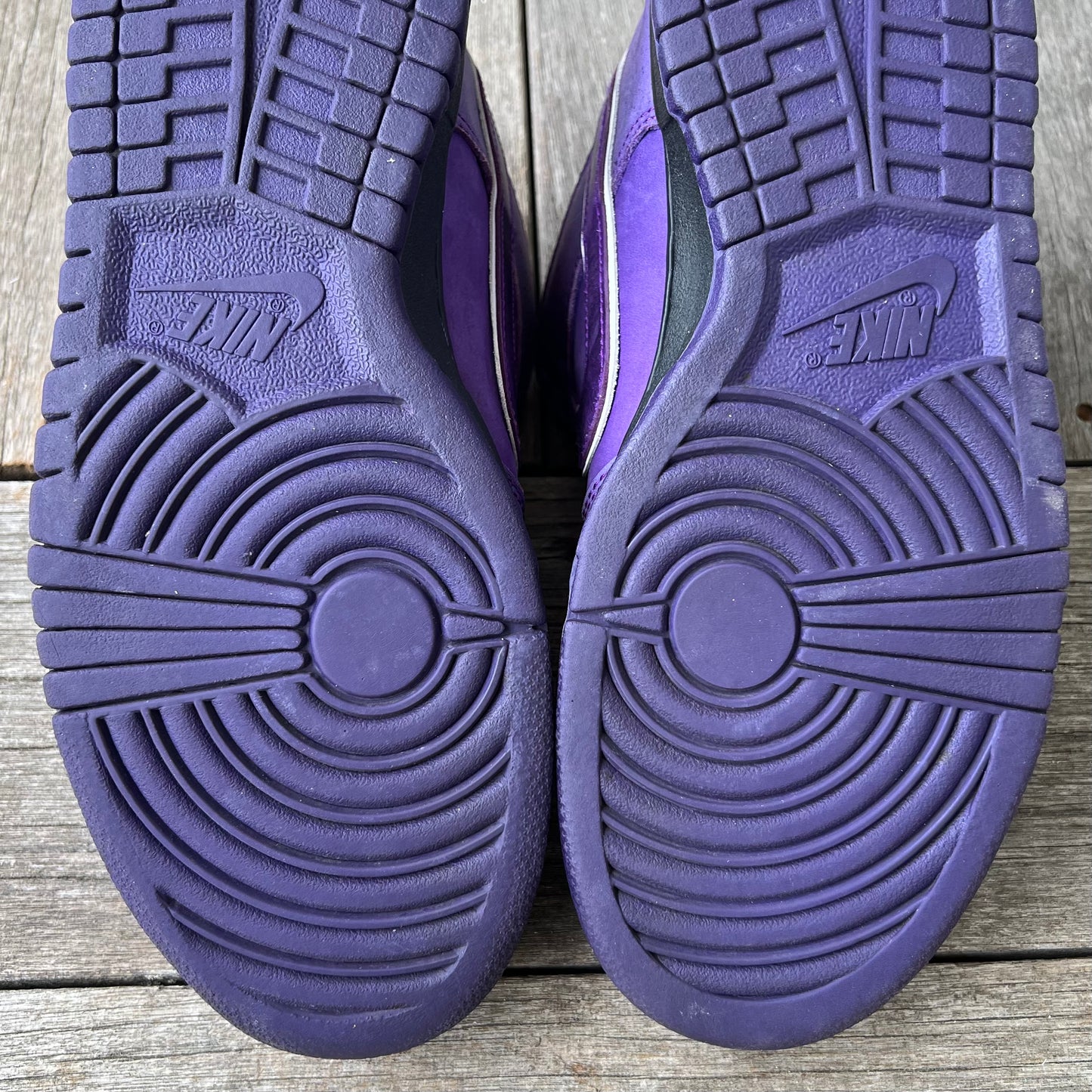 Nike SB Dunk Low Purple Lobster Size 9