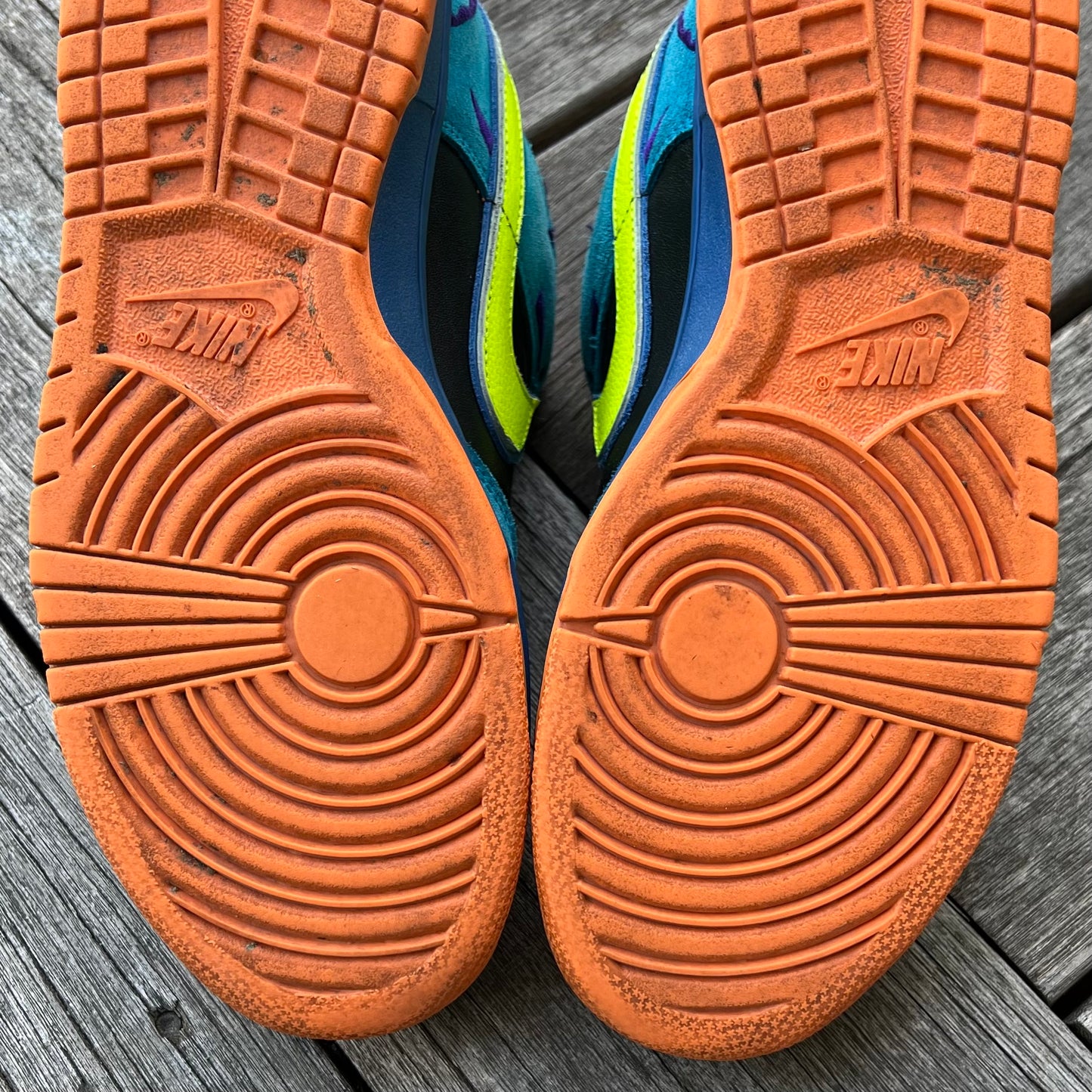 Nike SB Dunk Low Skate or Die Size 9.5