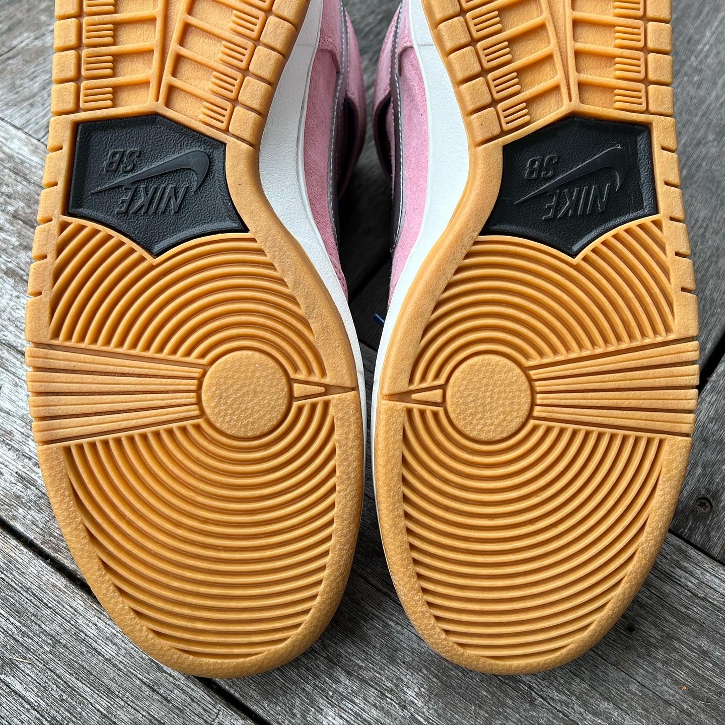 Nike SB Dunk High When Pigs Fly CNCPTS Size 9.5