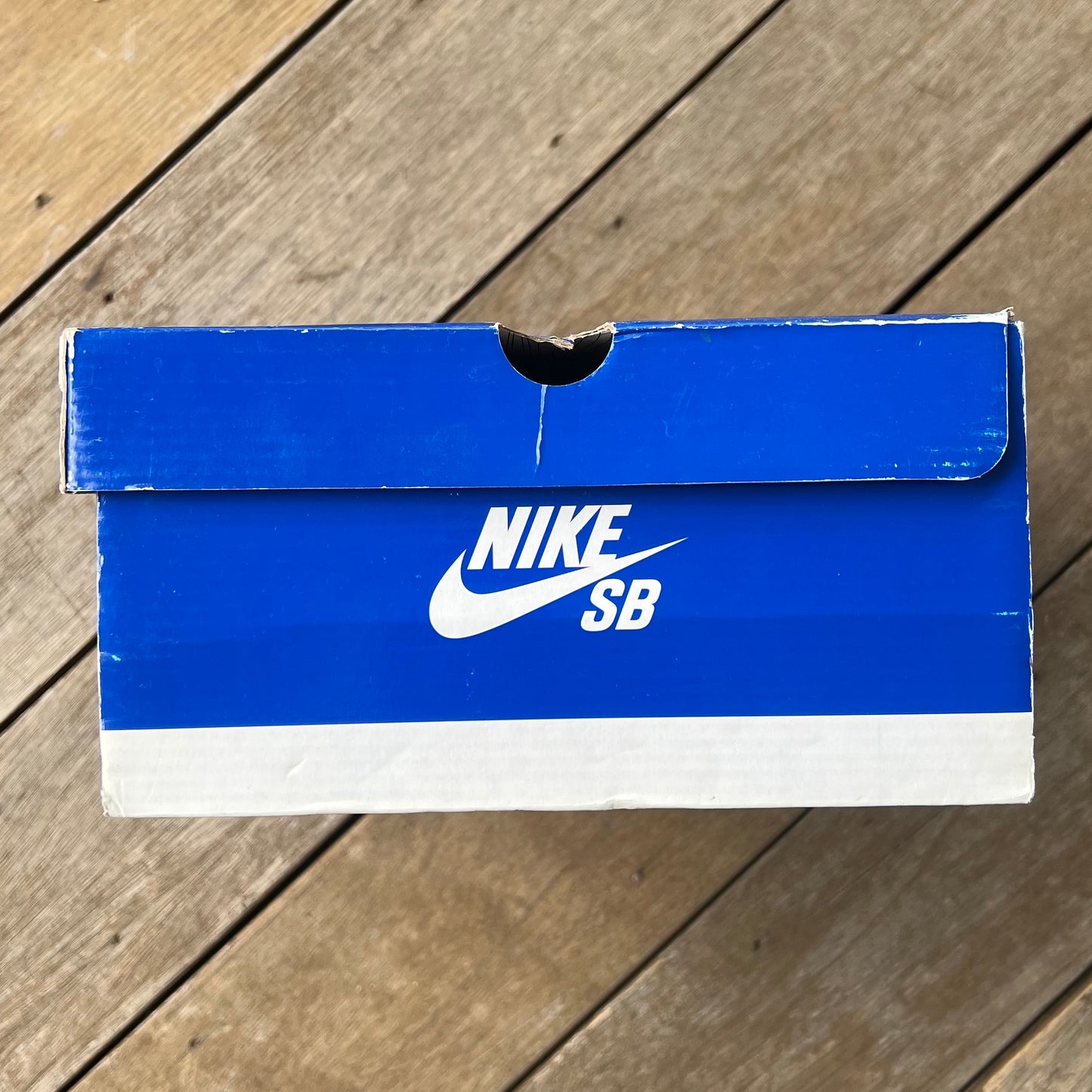 Nike SB Dunk Low Blue Lobster Size 10.5