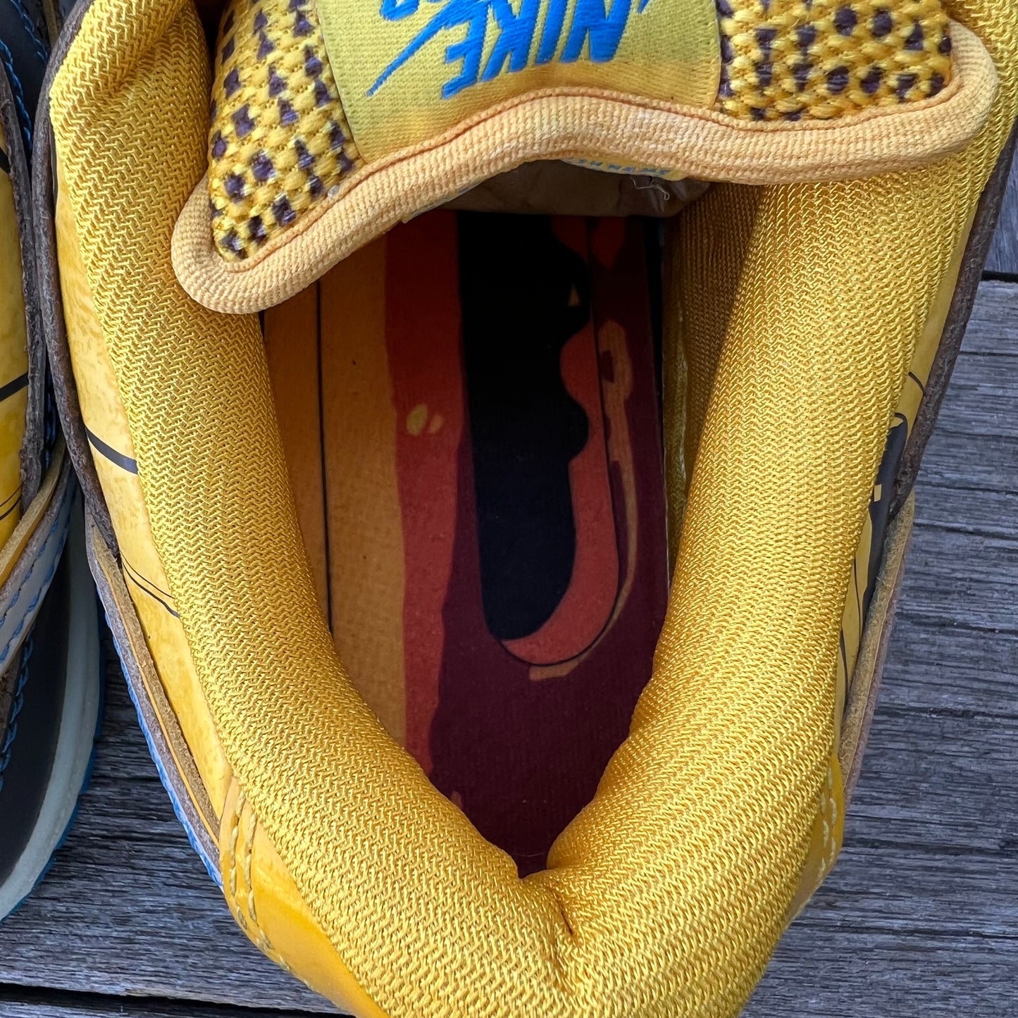 Nike SB Dunk Low EMB (Brazil) BCS3 Rodrigo Petersen Walkman Size 8.5