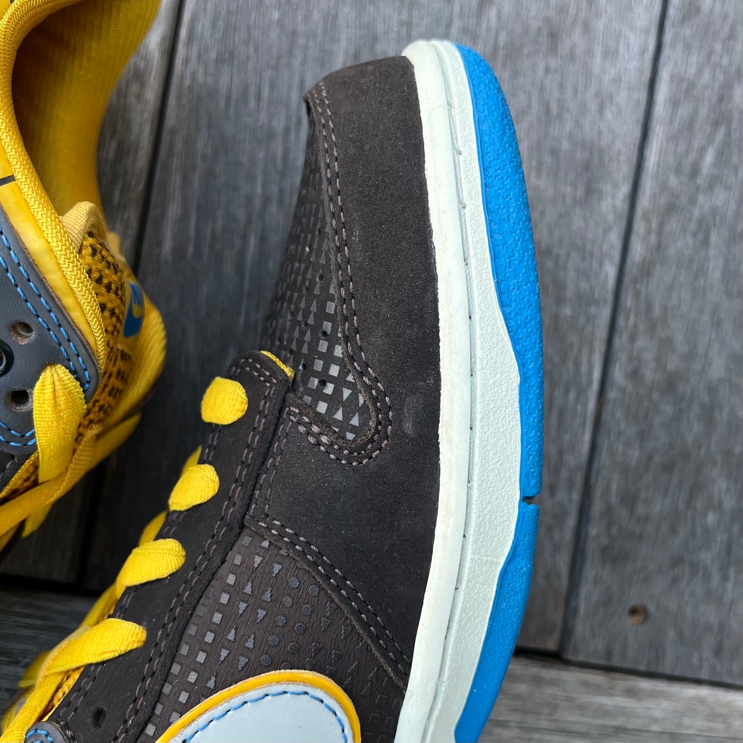 Nike SB Dunk Low EMB (Brazil) BCS3 Rodrigo Petersen Walkman Size 8.5
