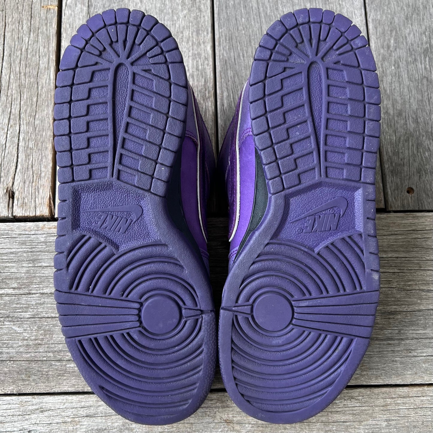 Nike SB Dunk Low Purple Lobster Size 9