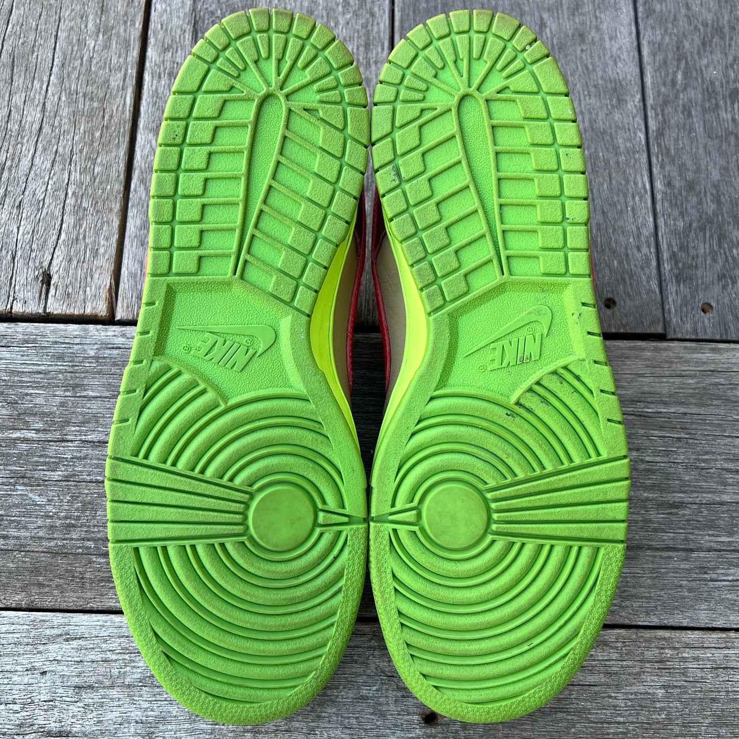 Nike SB Dunk Low Toxic Sea Robin SAMPLE (FTSS) Size 9