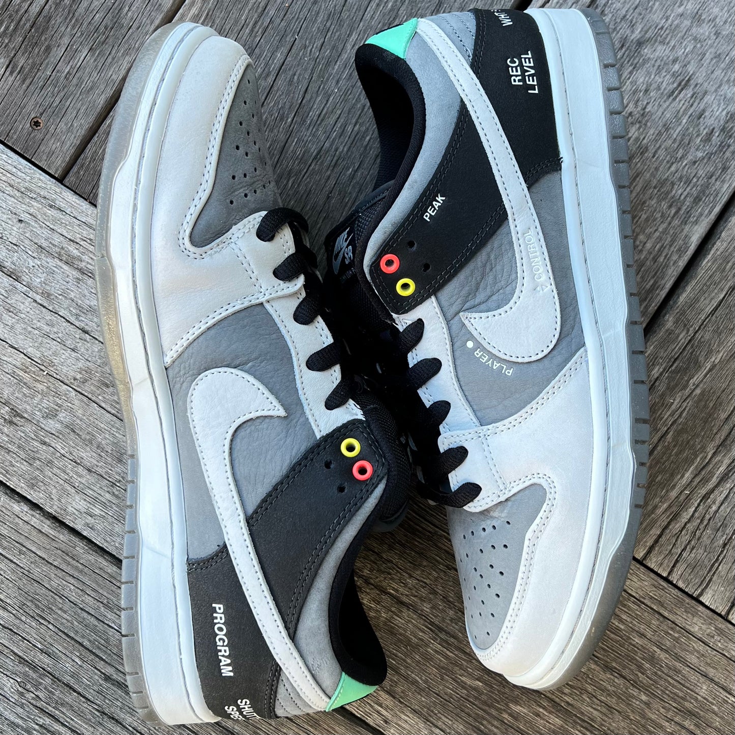 Nike SB Dunk Low Camcorder Size 11