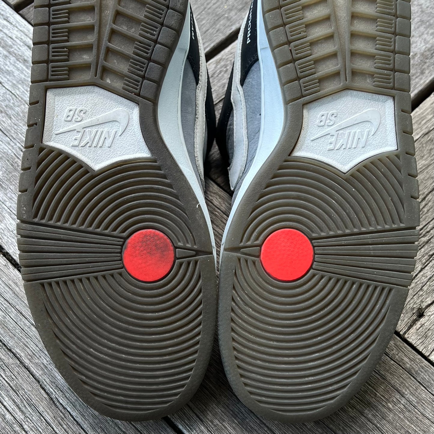 Nike SB Dunk Low Camcorder Size 10