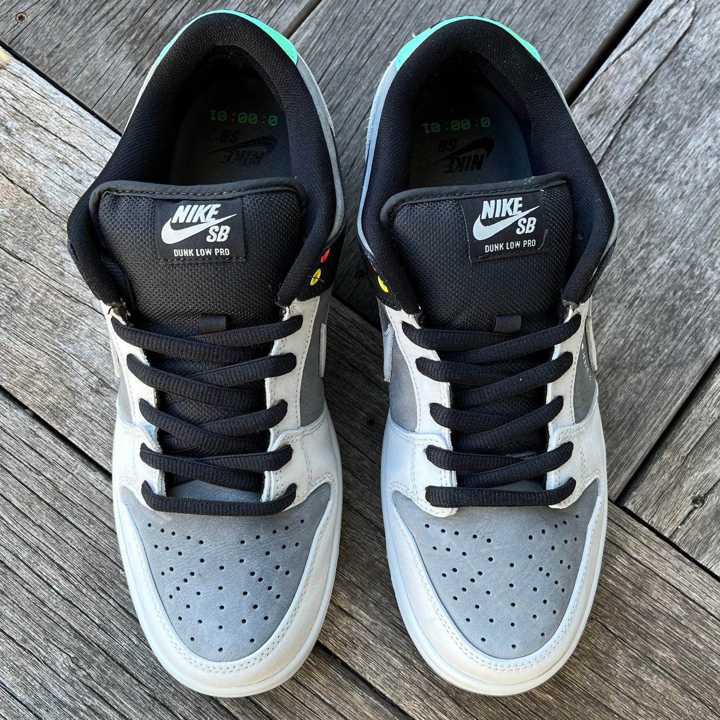 Nike SB Dunk Low Camcorder Size 11