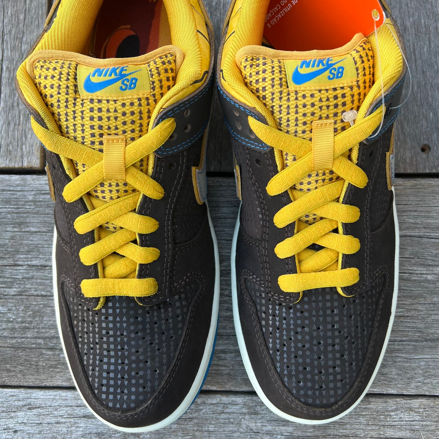 Nike SB Dunk Low EMB (Brazil) BCS3 Rodrigo Petersen Walkman Size 8.5