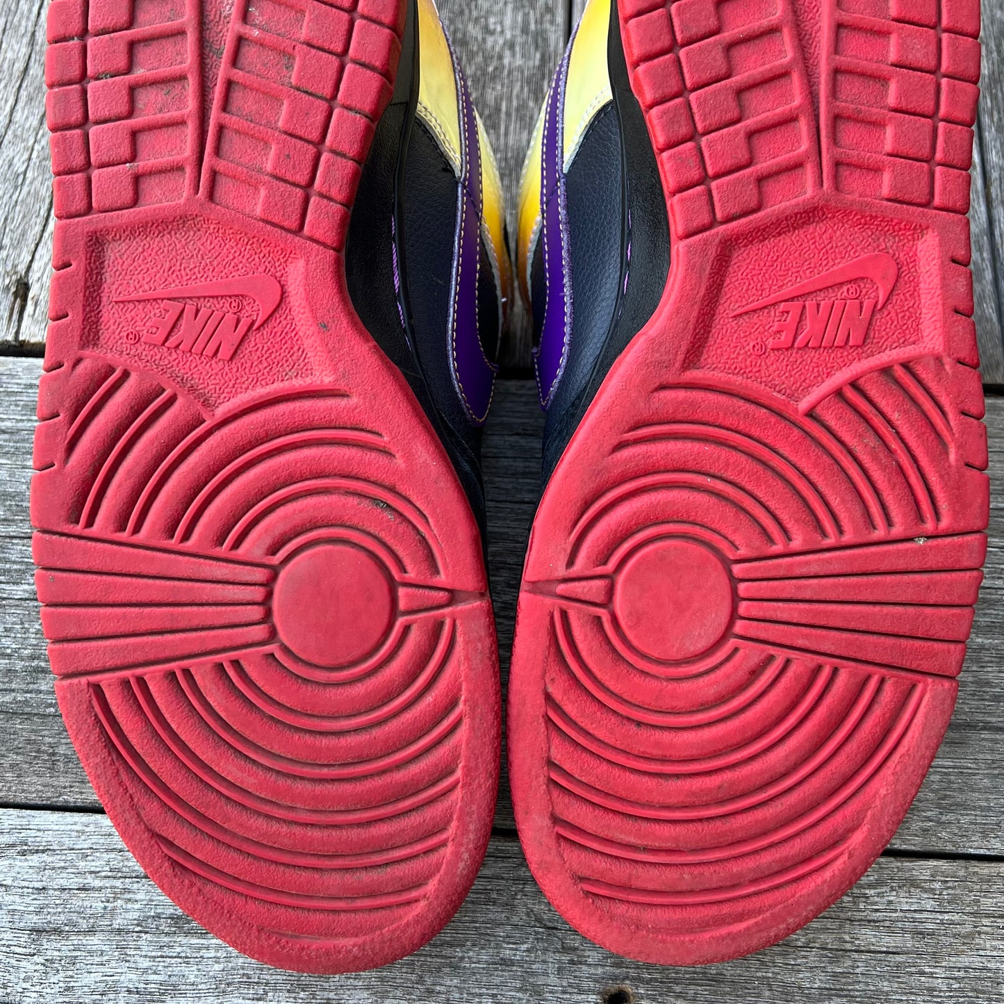 Nike SB Dunk Low Appetite for Destruction Size 10