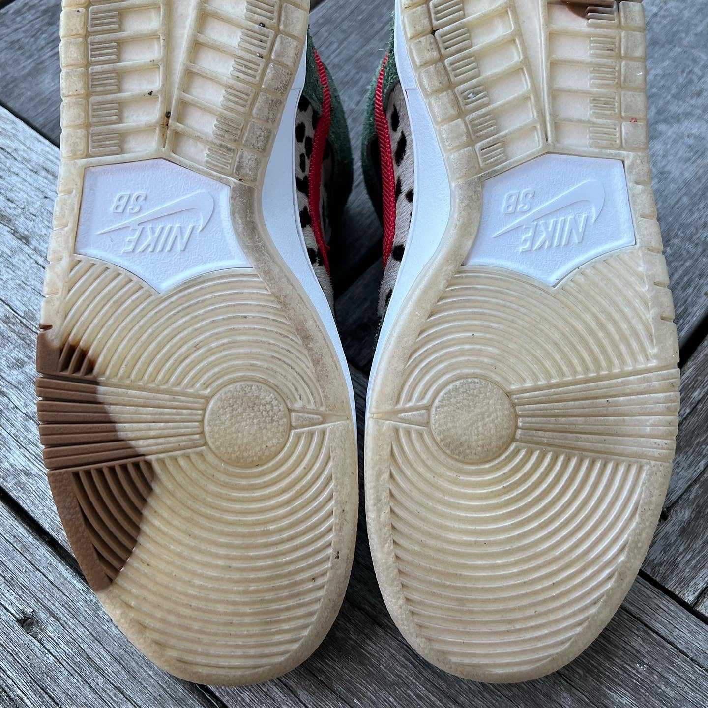 Nike SB Dunk High Dog Walker Size 9.5