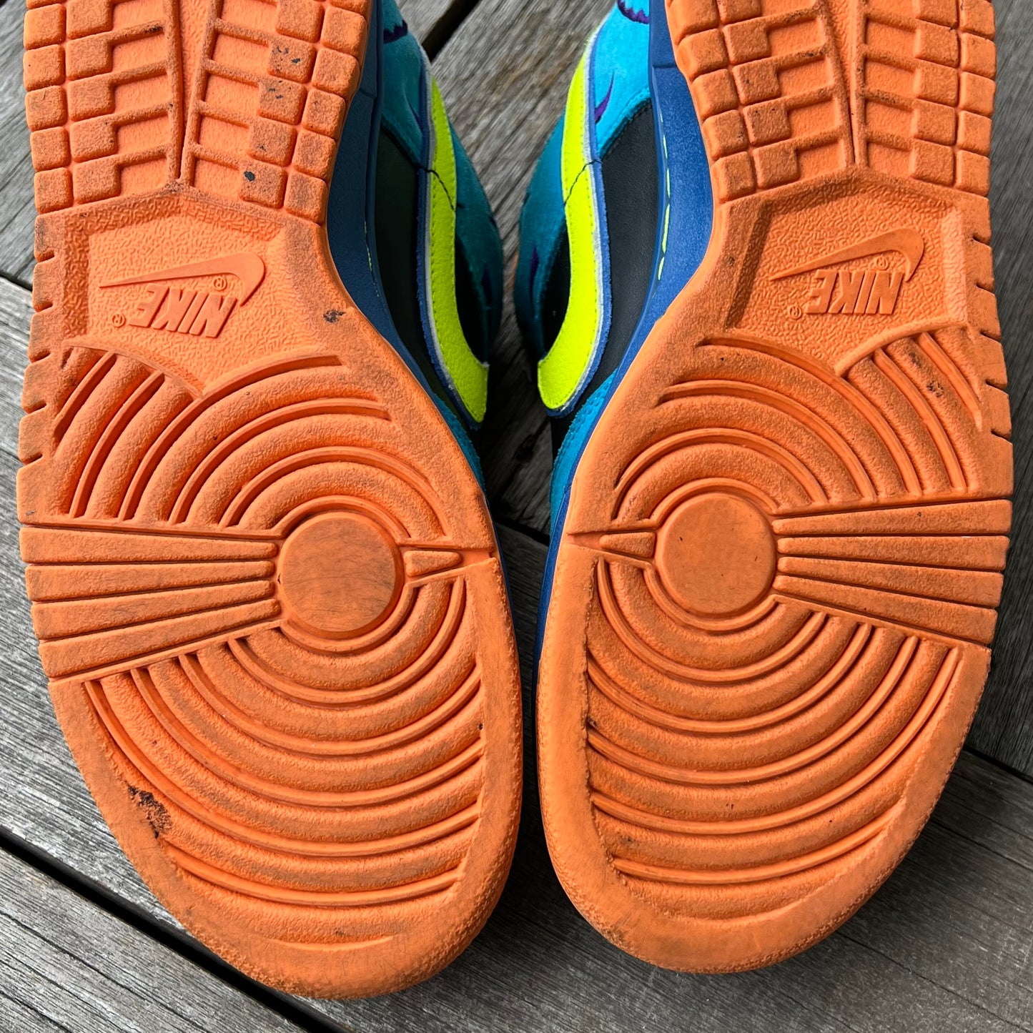 Nike SB Dunk Low Skate or Die Size 10