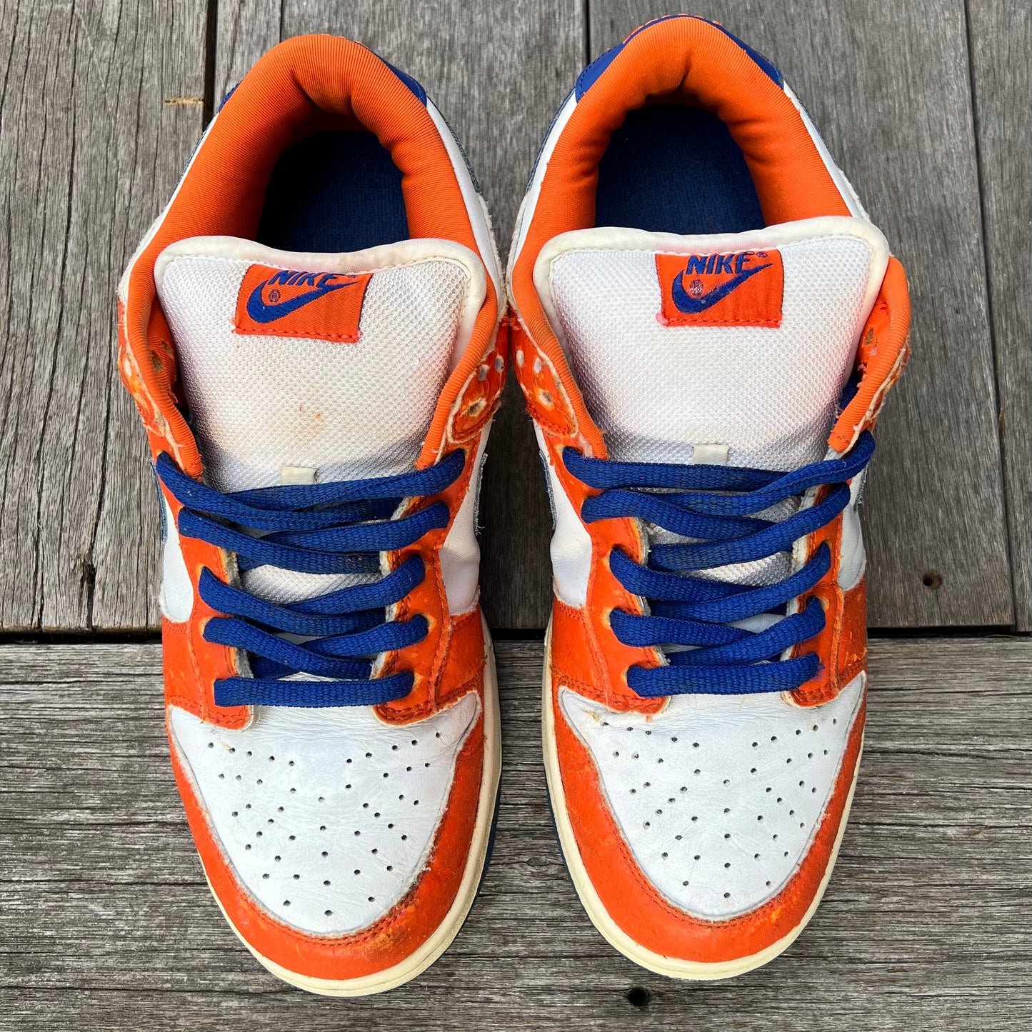 Nike SB Dunk Low Danny Supa Size 9.5