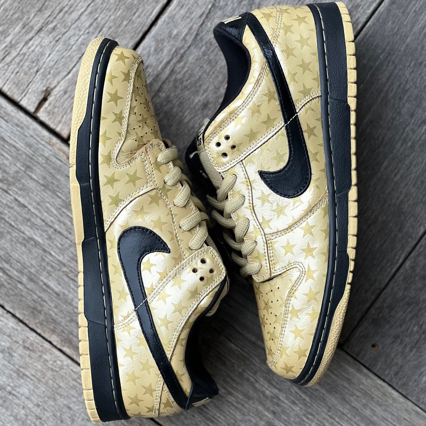 Nike SB Dunk Low Trickstar Size 10.5