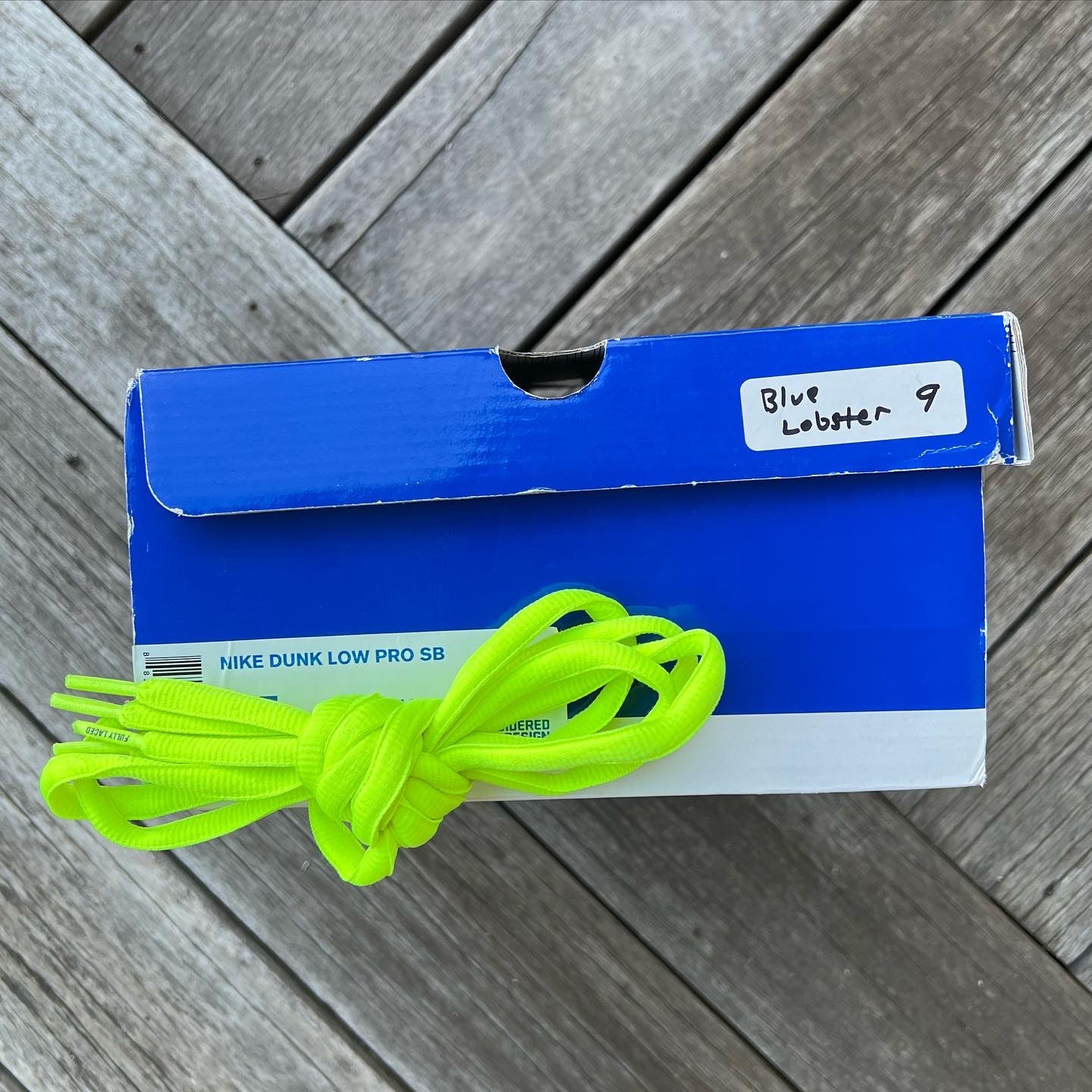 Nike SB Dunk Low Blue Lobster Size 9