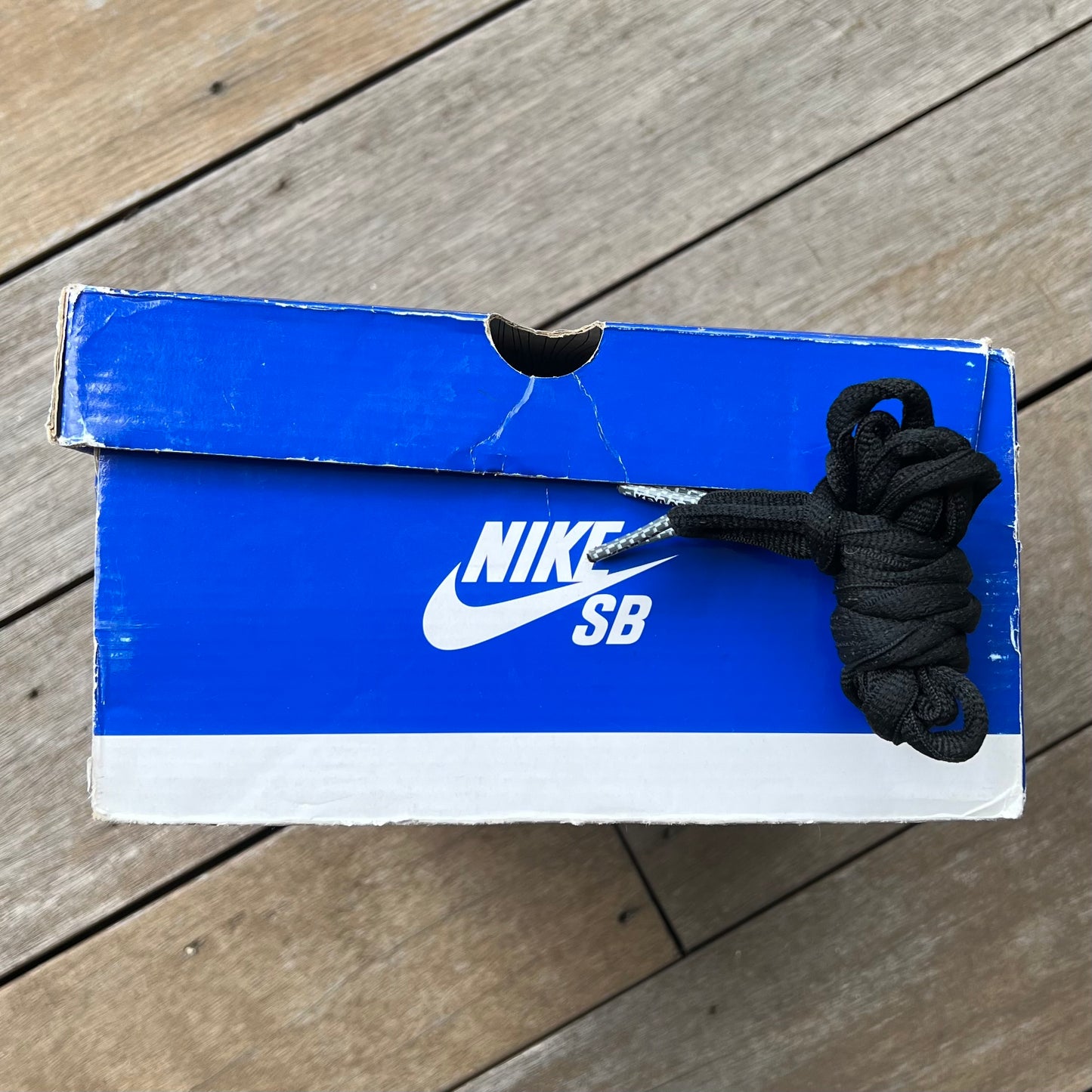 Nike SB Dunk Low Skeletor Size 9.5