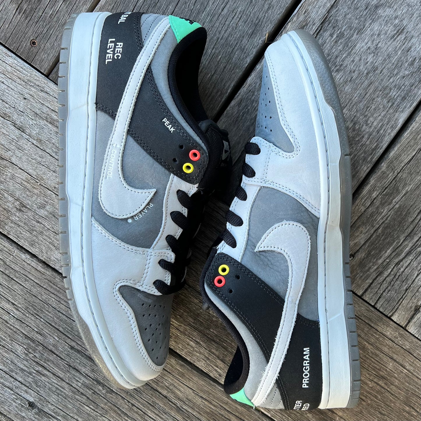 Nike SB Dunk Low Camcorder Size 11