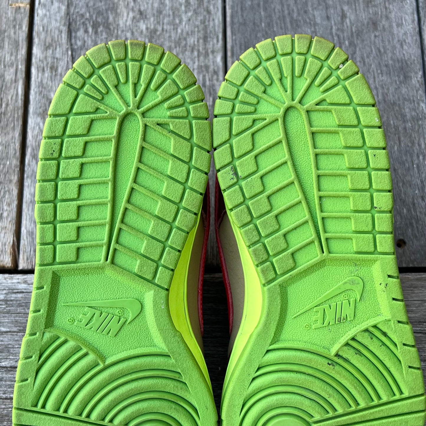 Nike SB Dunk Low Toxic Sea Robin SAMPLE (FTSS) Size 9