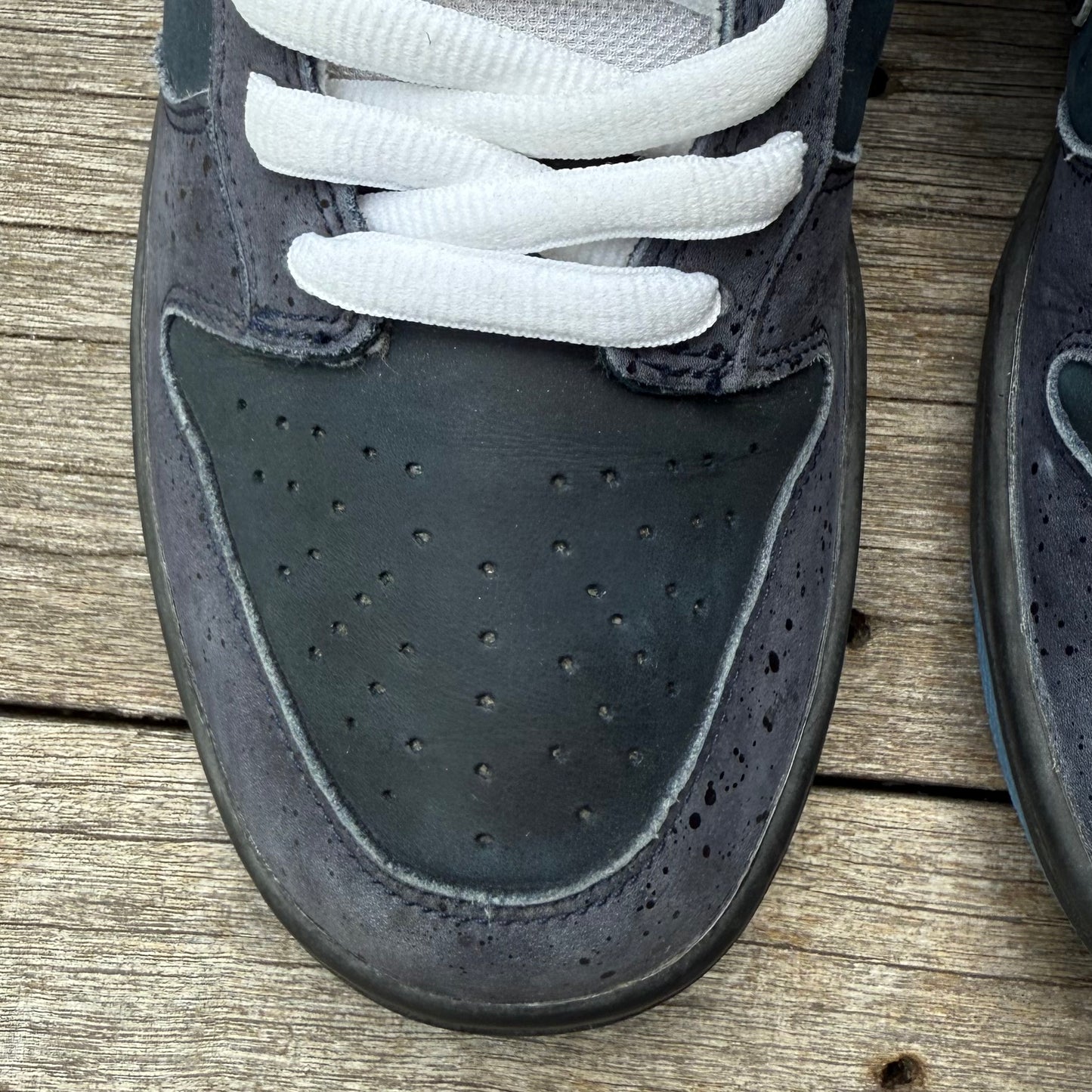 Nike SB Dunk Low Blue Lobster Size 10