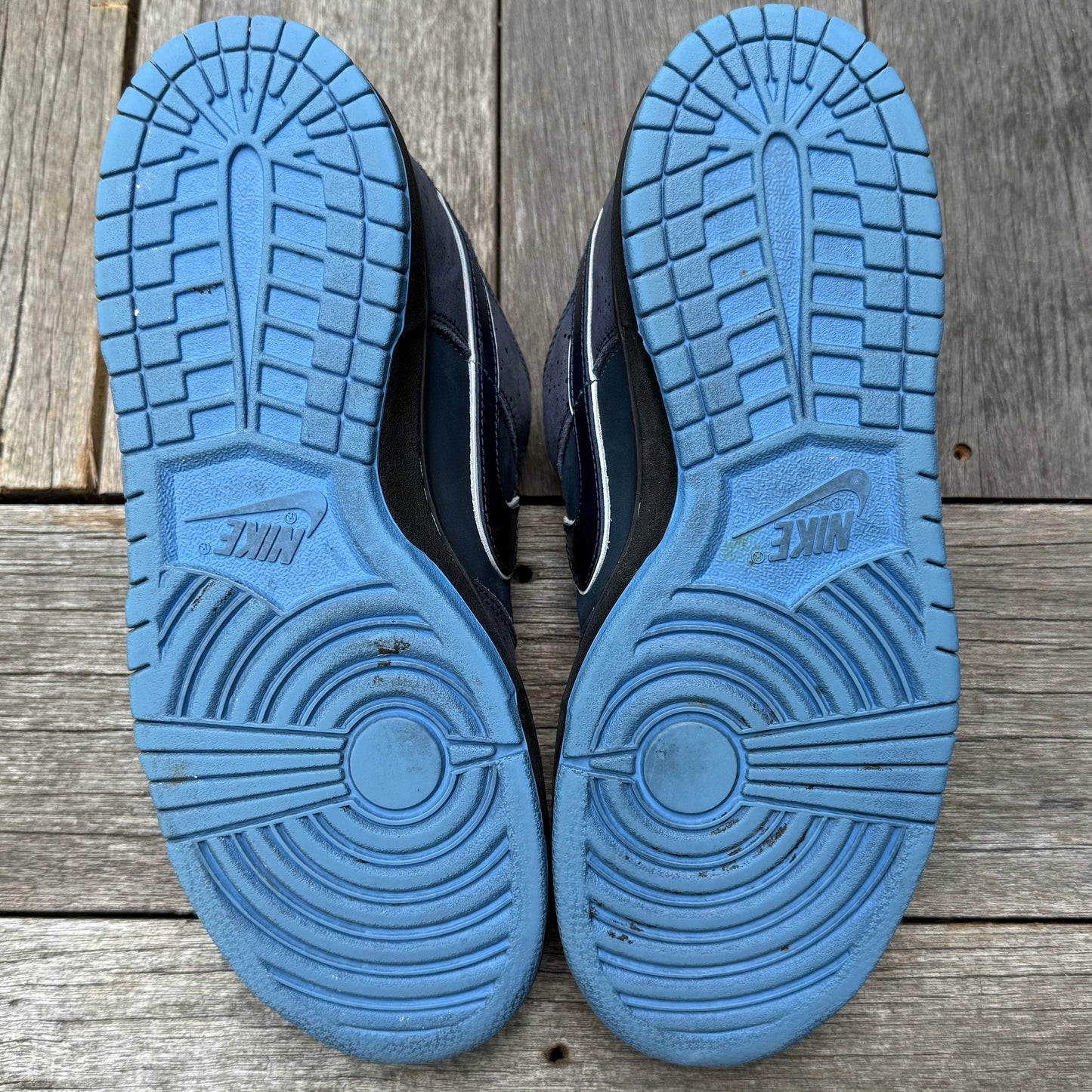 Nike SB Dunk Low Blue Lobster Size 10