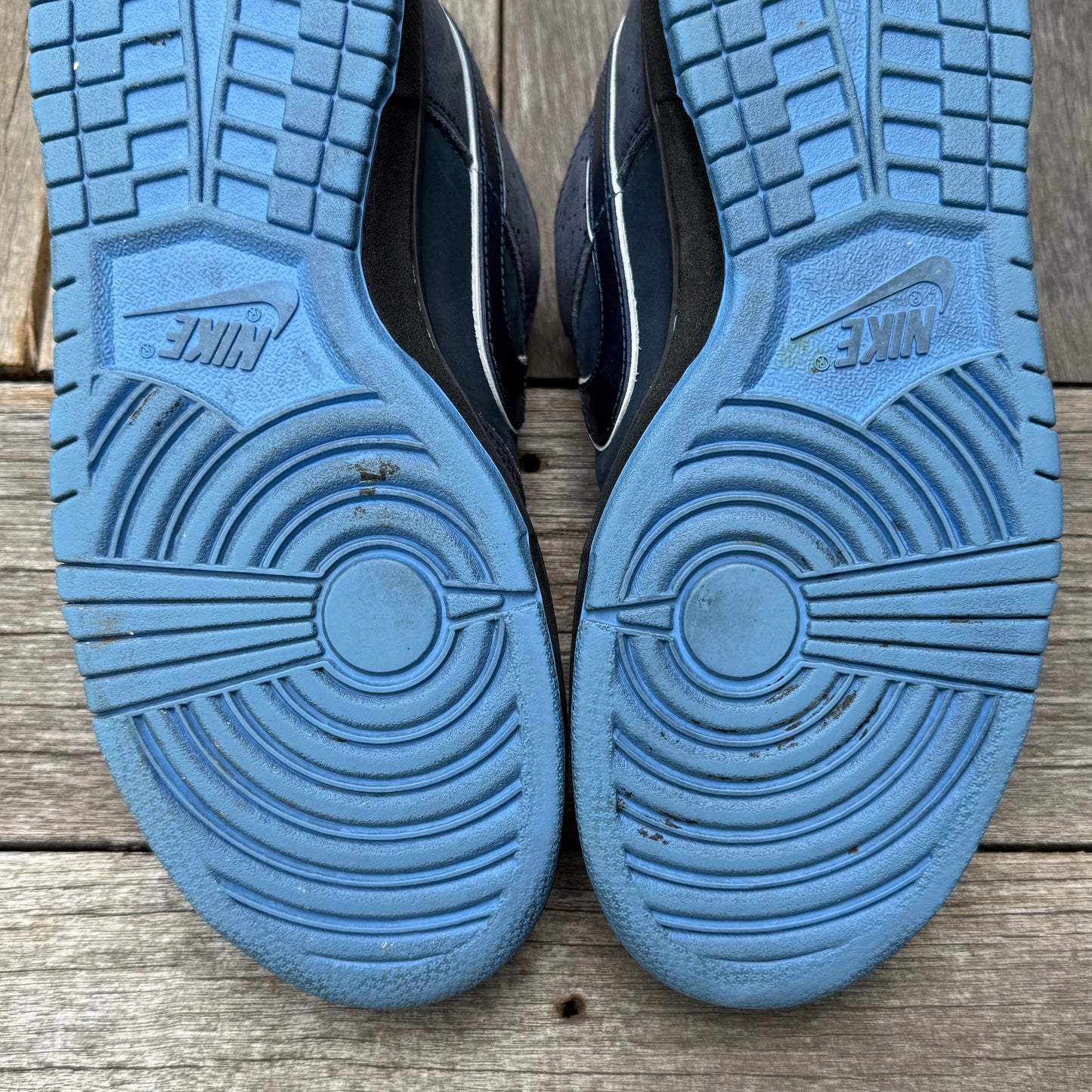 Nike SB Dunk Low Blue Lobster Size 10