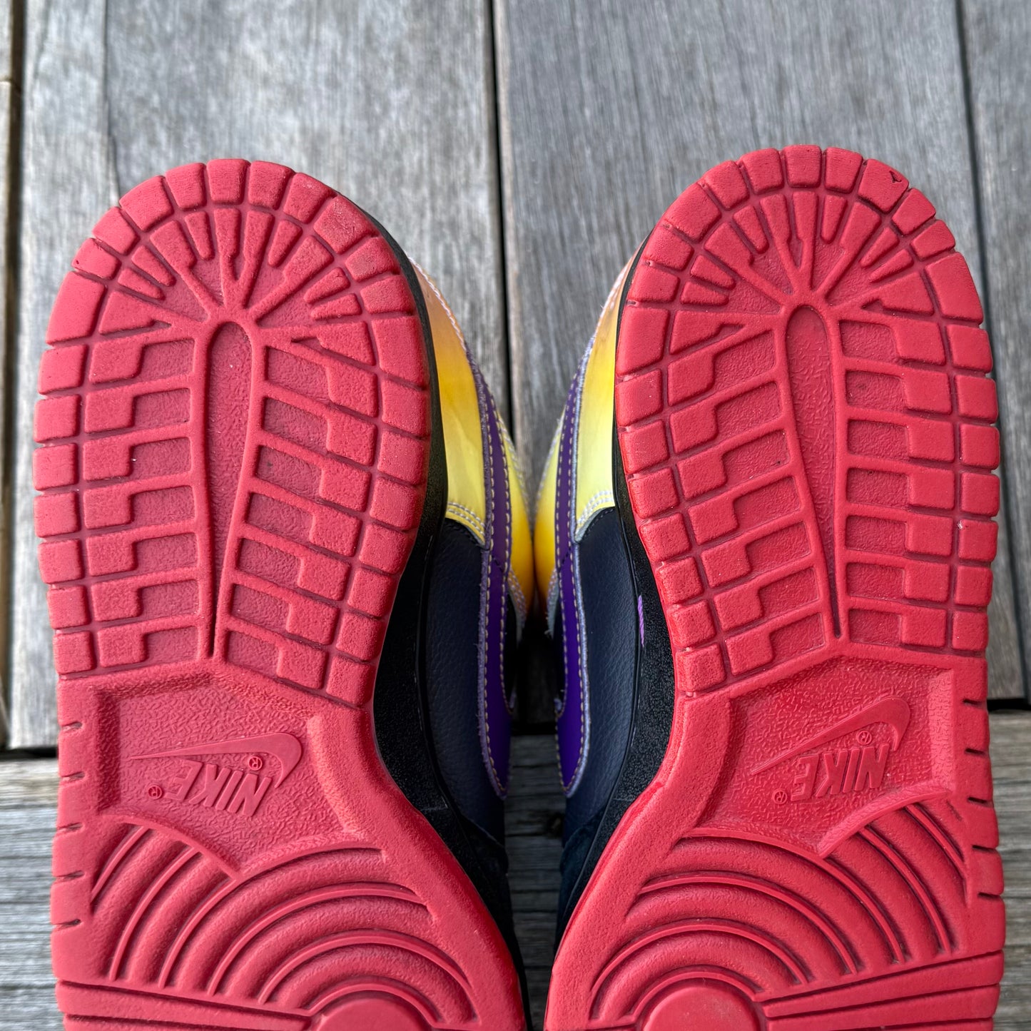 Nike SB Dunk Low Appetite for Destruction Size 8