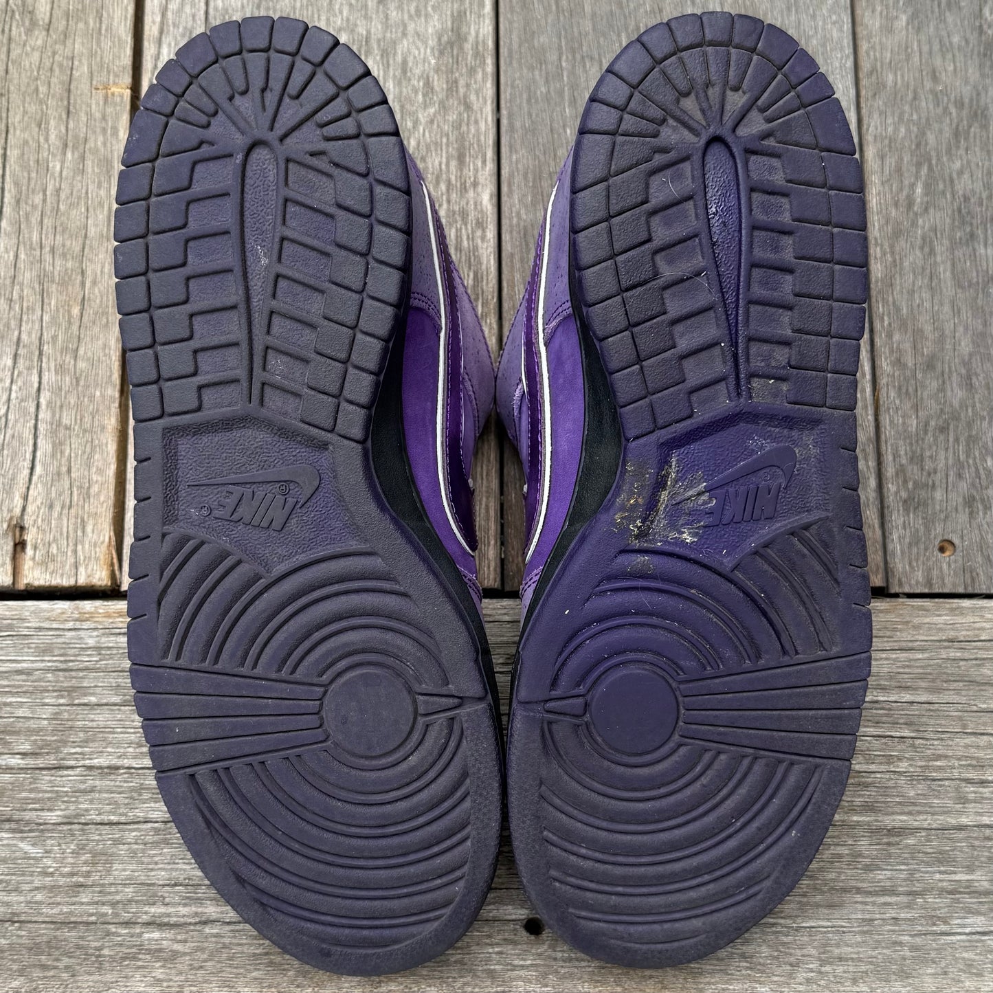 Nike SB Dunk Low Purple Lobster Size 10