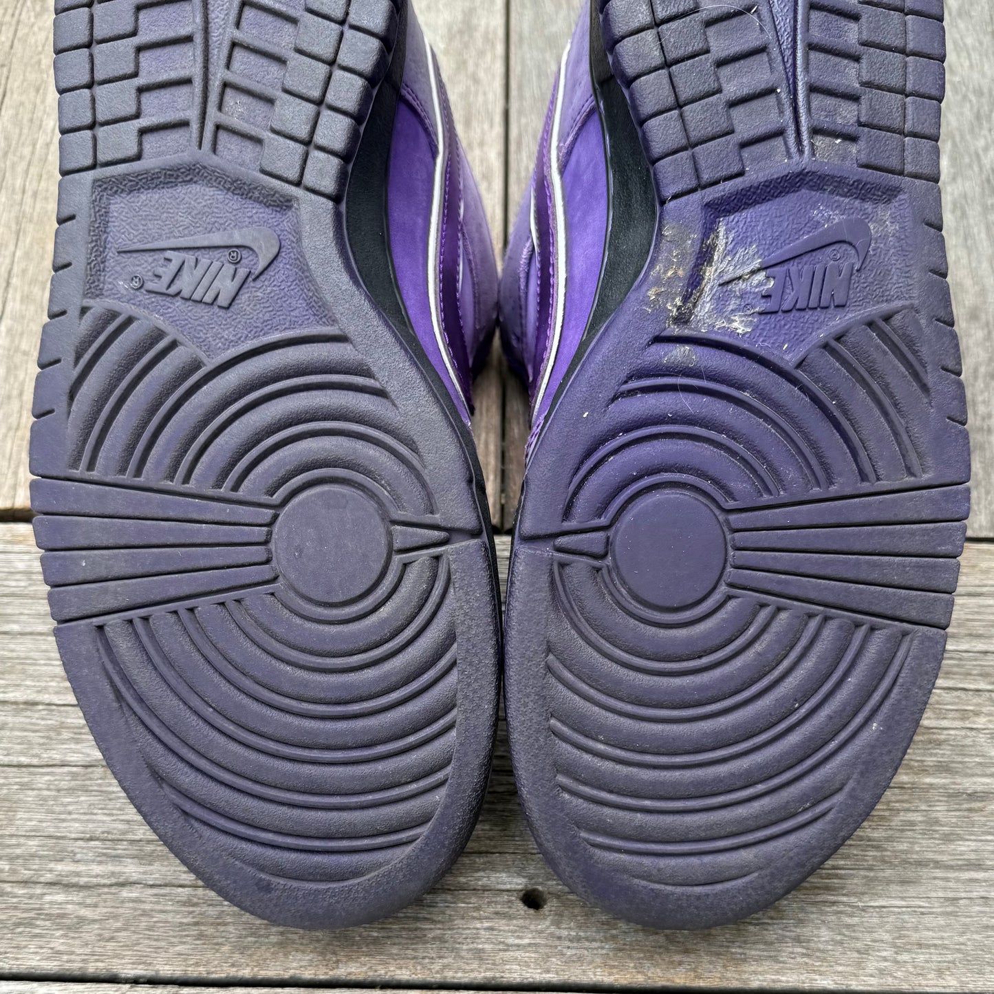 Nike SB Dunk Low Purple Lobster Size 10
