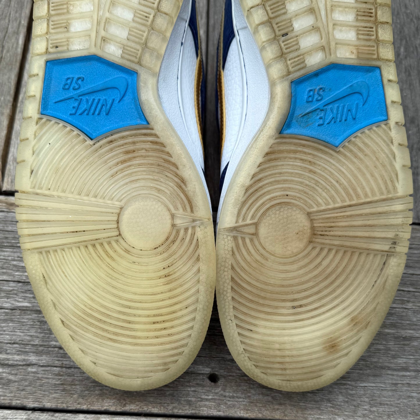 Nike SB Dunk Low IW BMW Size 9.5
