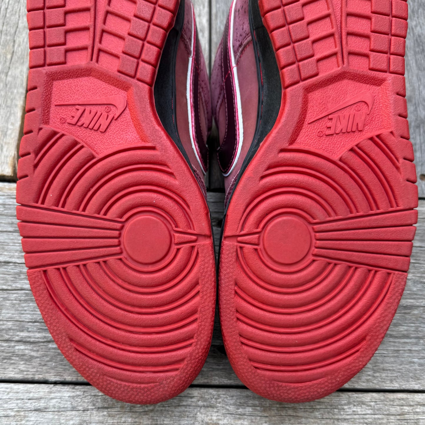 Nike SB Dunk Low Red Lobster Size 10