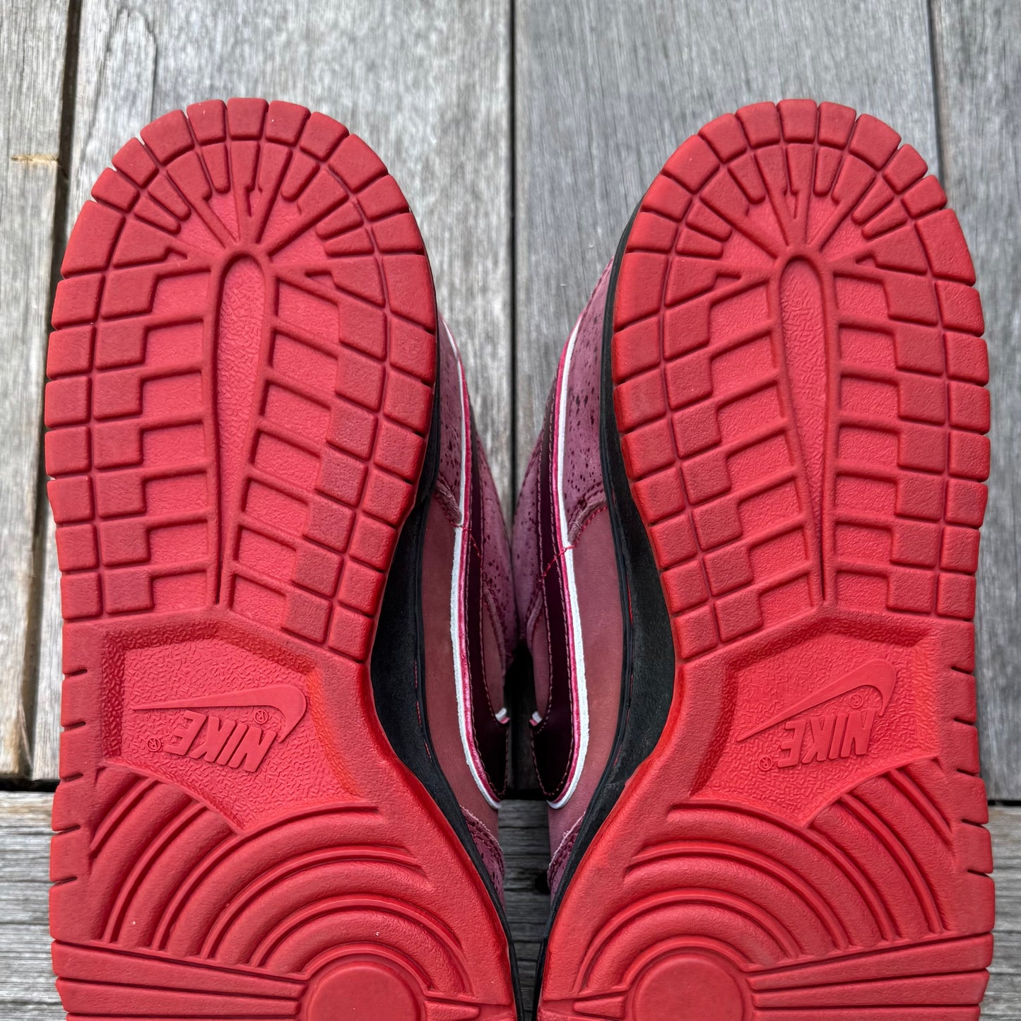 Nike SB Dunk Low Red Lobster Size 10