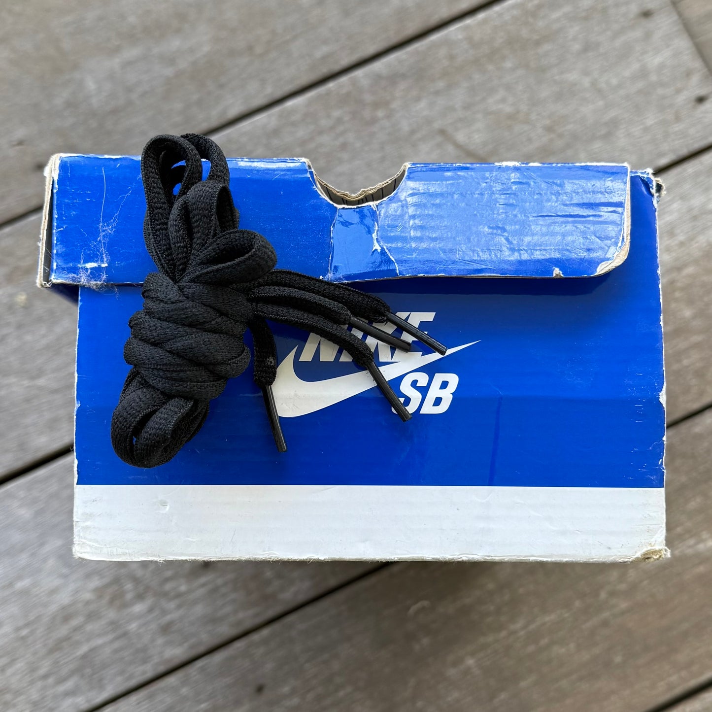 Nike SB Dunk Low Blue Lobster Size 13