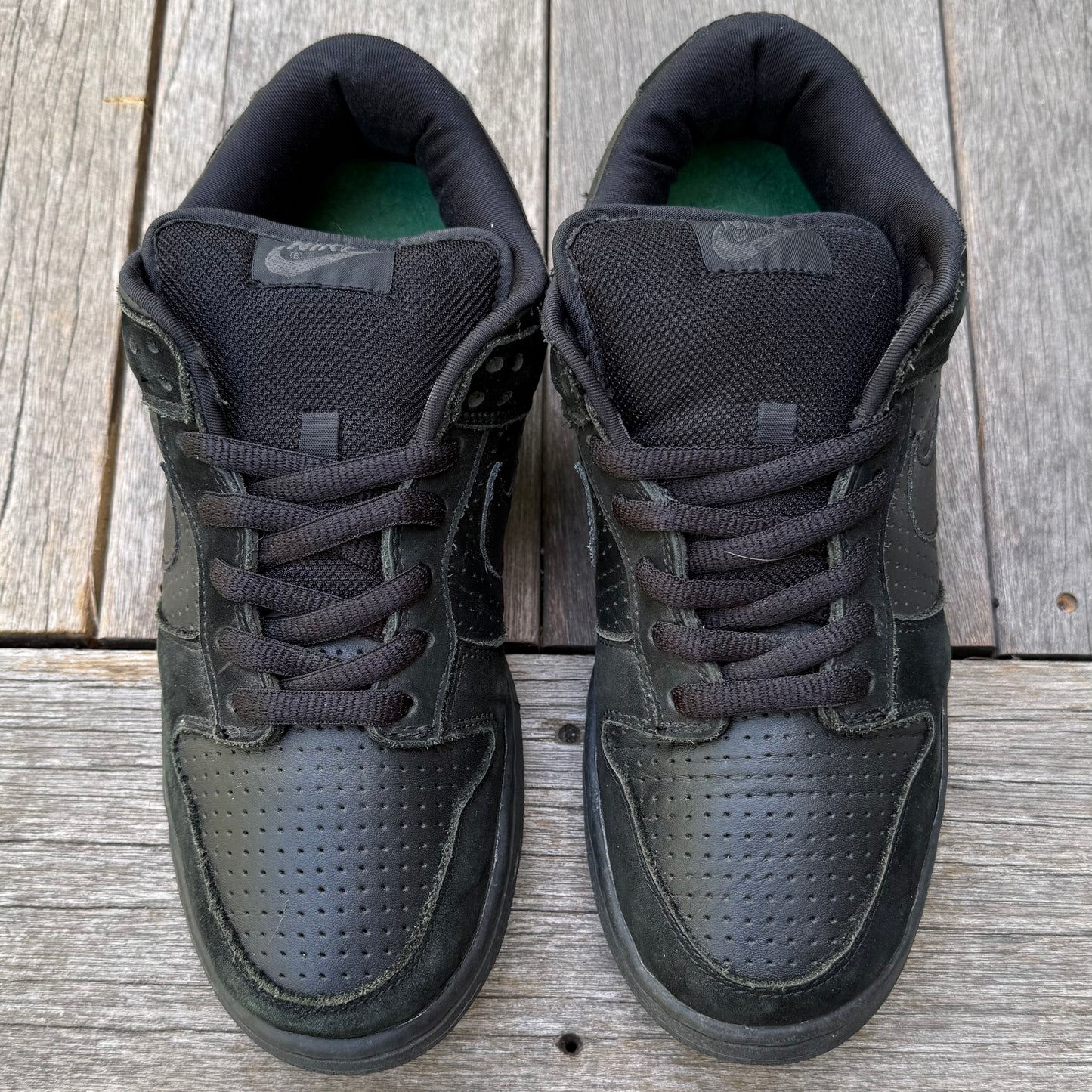 Nike SB Dunk Low Gino 2 Size 9