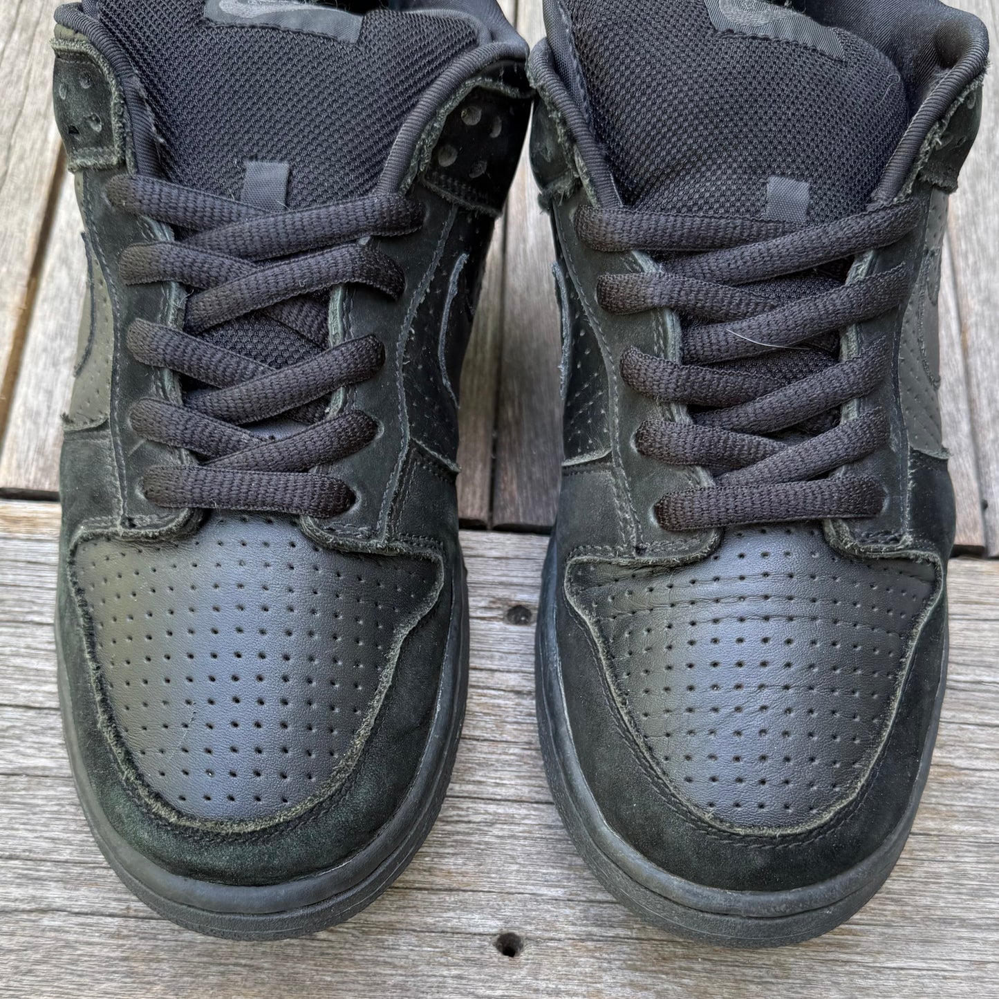 Nike SB Dunk Low Gino 2 Size 9
