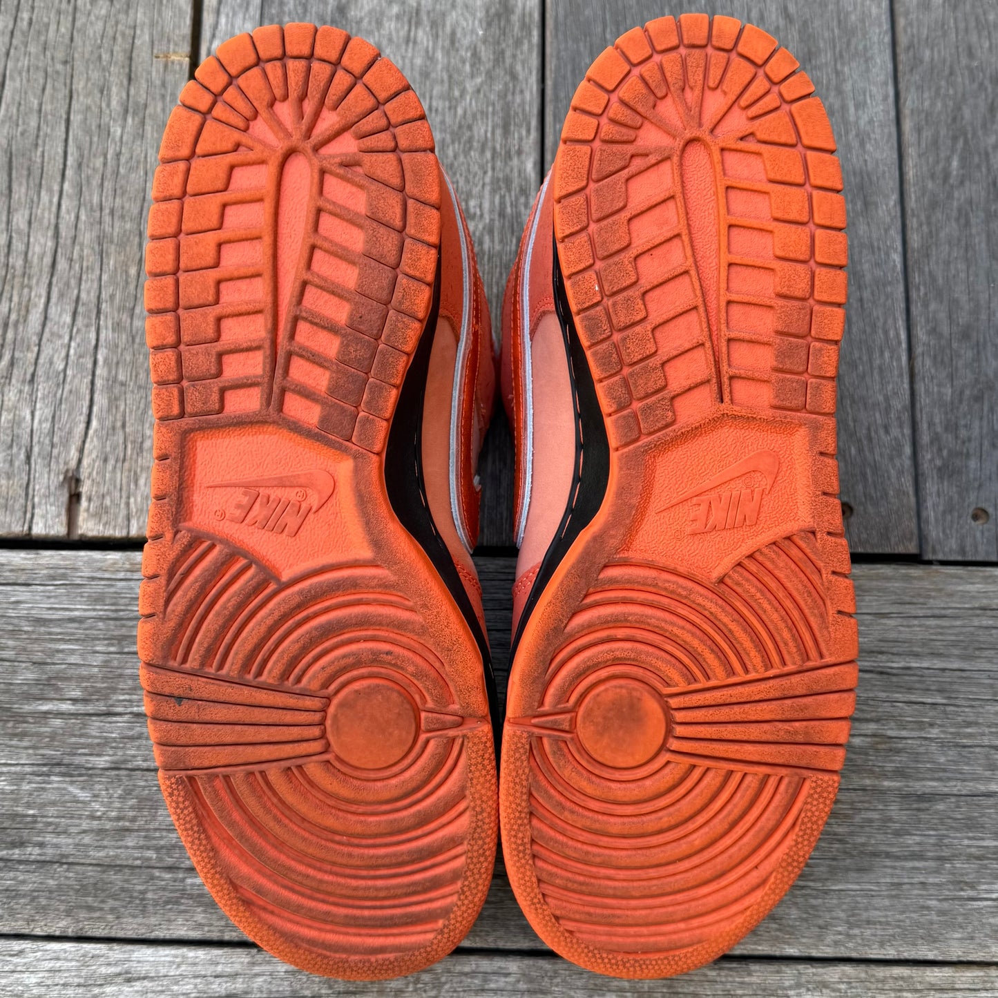 Nike SB Dunk Low Orange Lobster Size 10