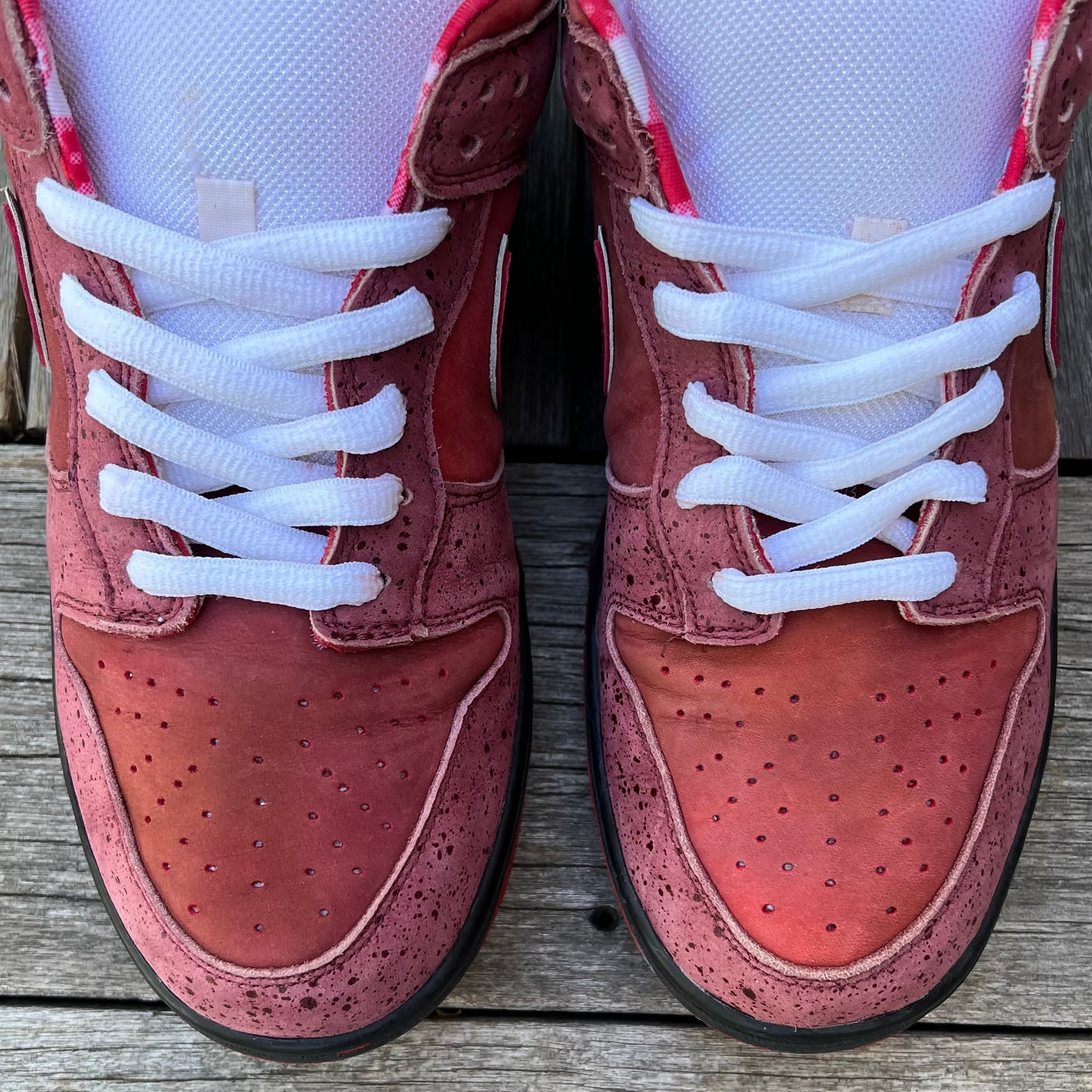 Nike SB Dunk Low Red Lobster Size 12