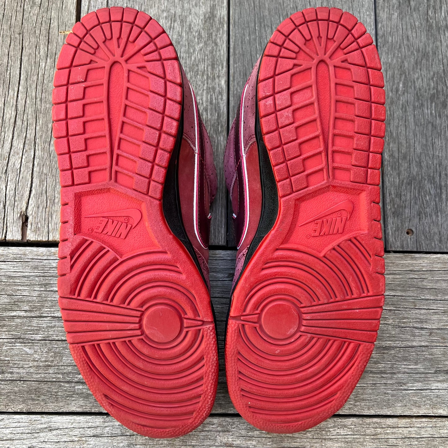 Nike SB Dunk Low Red Lobster Size 12