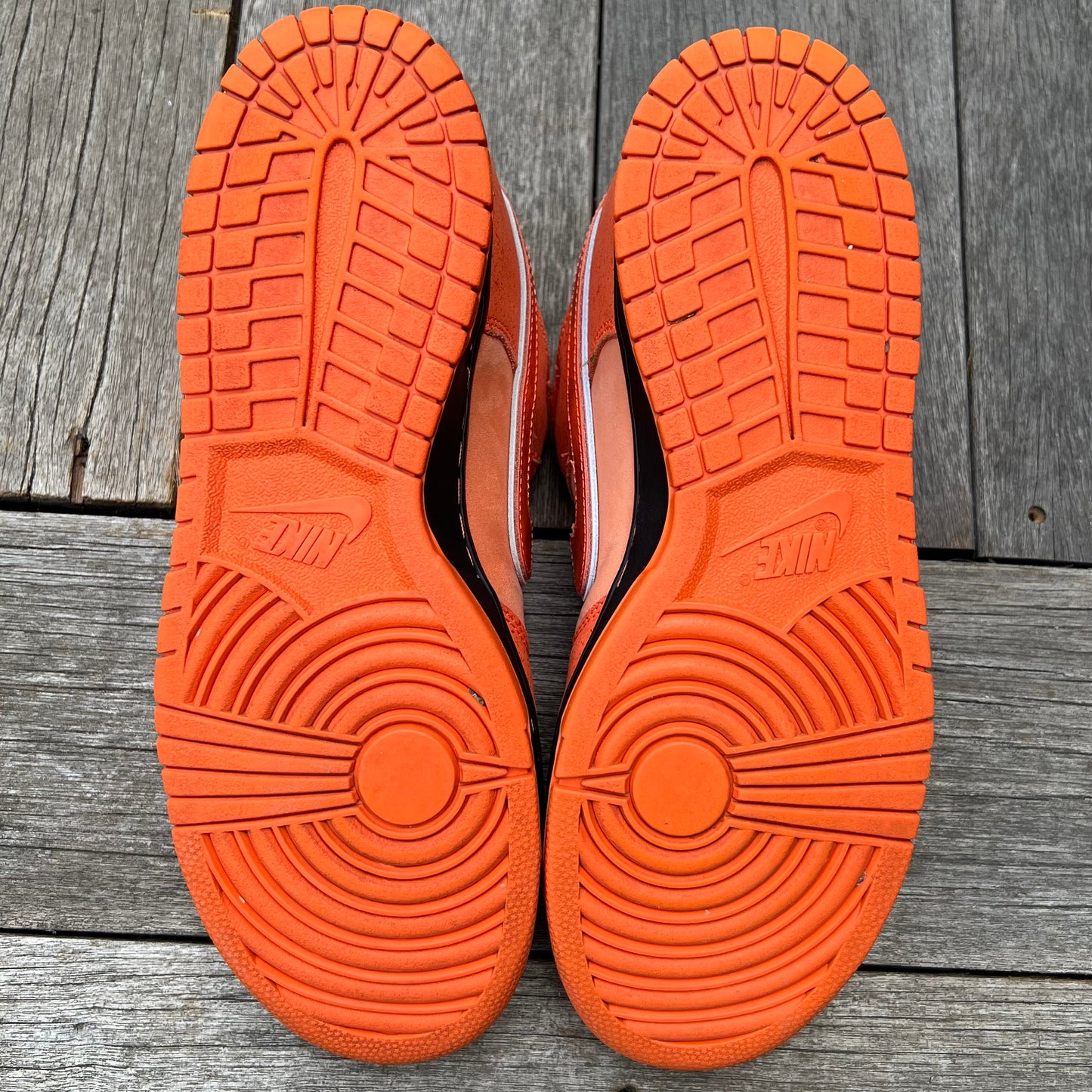 Nike SB Dunk Low Orange Lobster Size 10