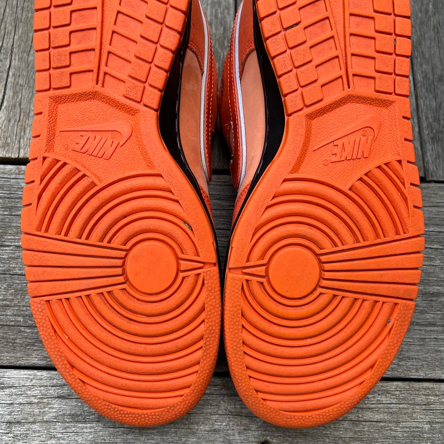 Nike SB Dunk Low Orange Lobster Size 10