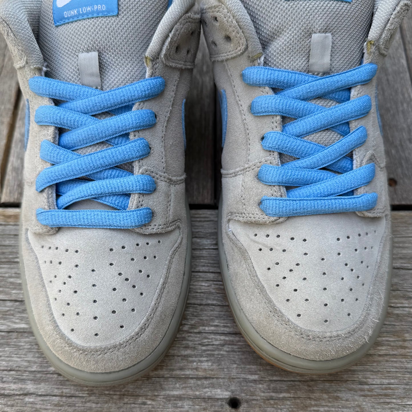 Nike SB Dunk Low Iron SAMPLE Size 7