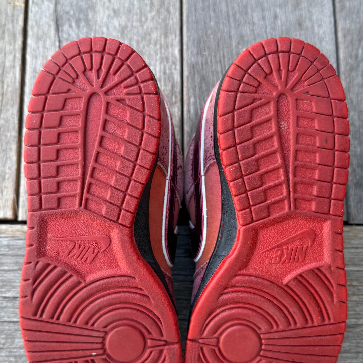 Nike SB Dunk Low Red Lobster Size 9