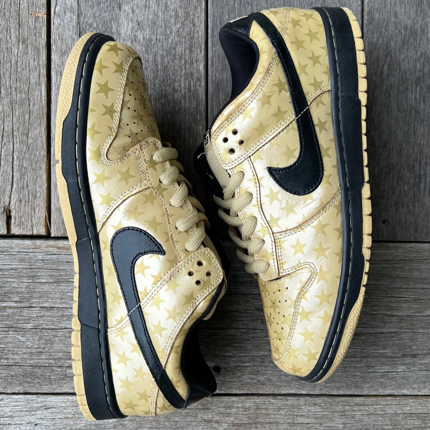 Nike SB Dunk Low Trickstar Size 10.5