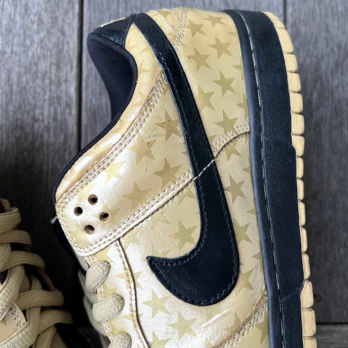 Nike SB Dunk Low Trickstar Size 10.5