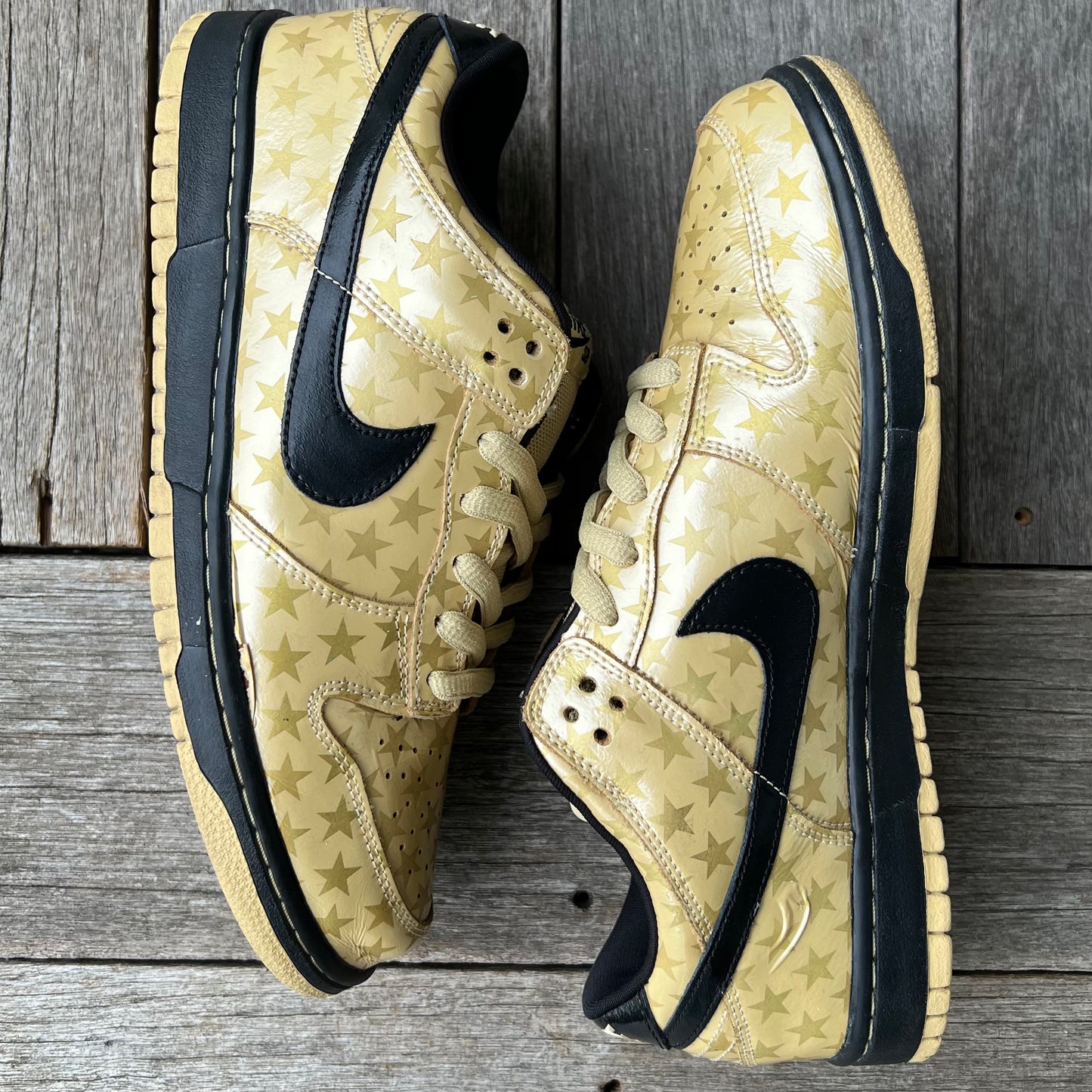Nike SB Dunk Low Trickstar Size 10.5
