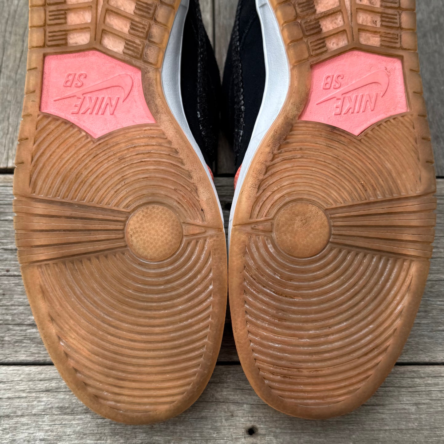 Nike SB Dunk Low Fish Ladder Size 15