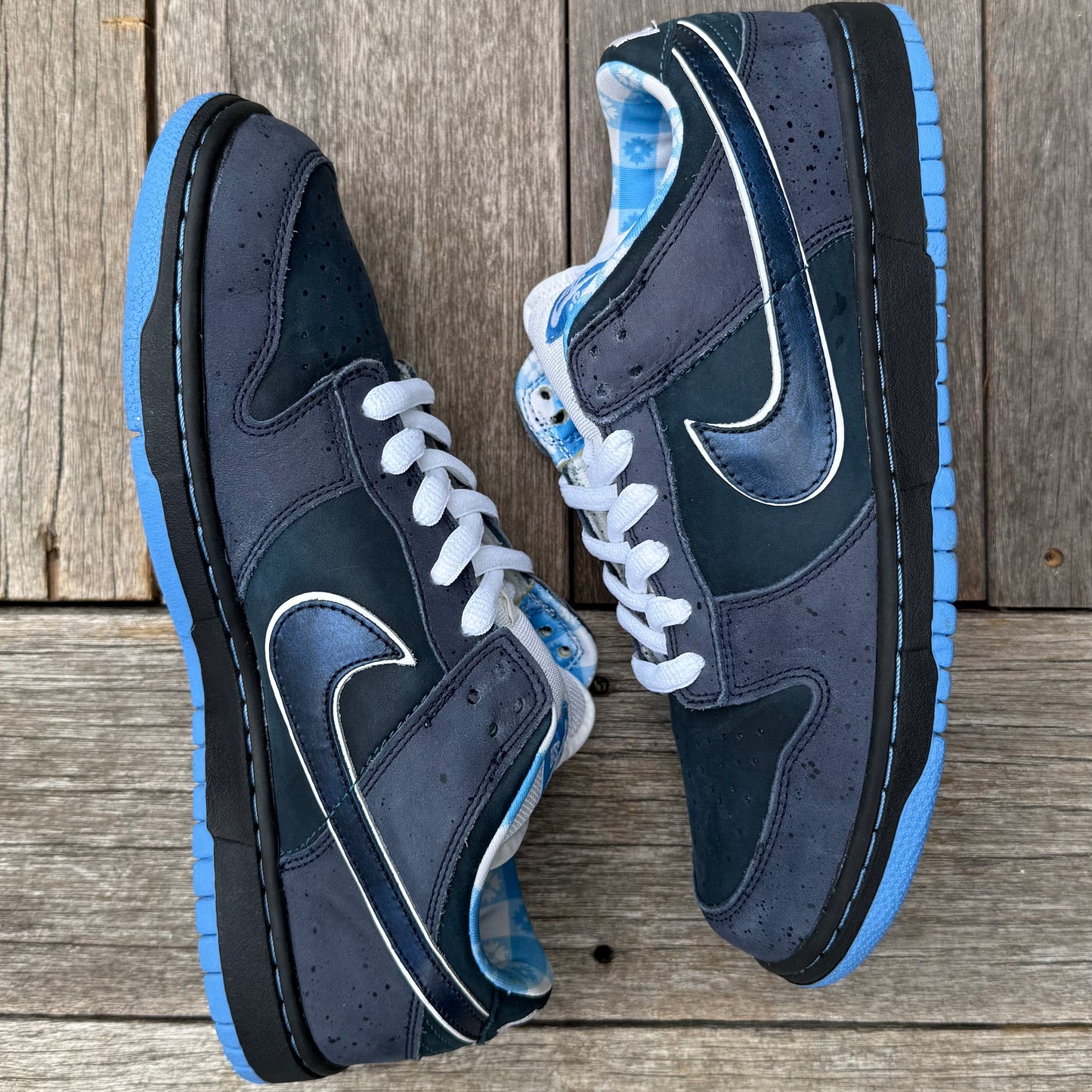 Nike SB Dunk Low Blue Lobster Size 9.5