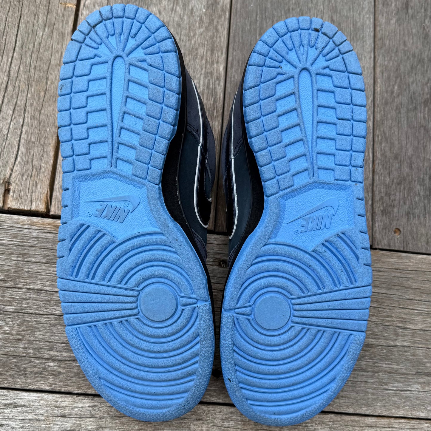 Nike SB Dunk Low Blue Lobster Size 9.5