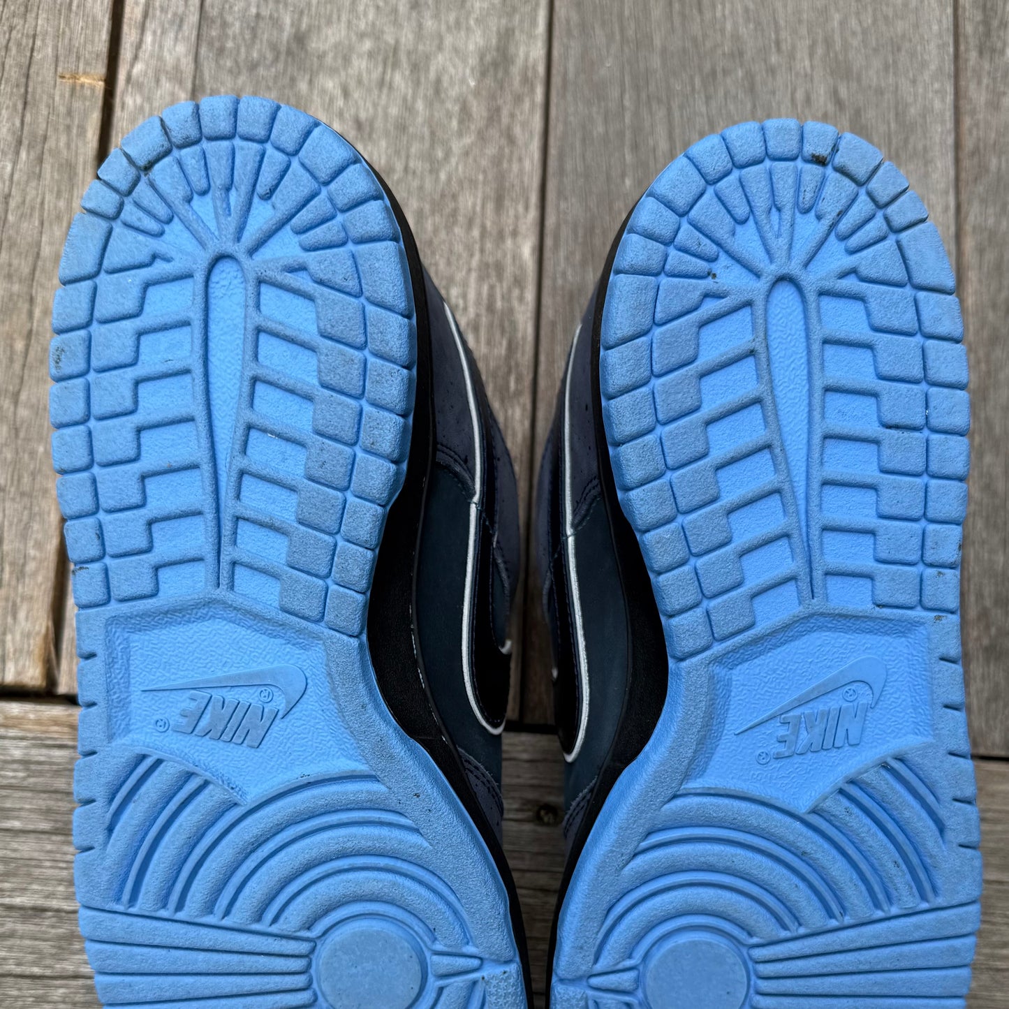 Nike SB Dunk Low Blue Lobster Size 9.5