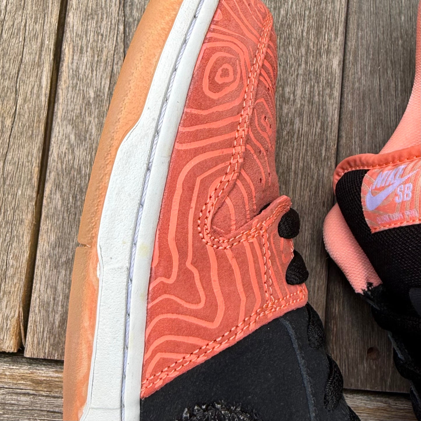 Nike SB Dunk Low Fish Ladder Size 12