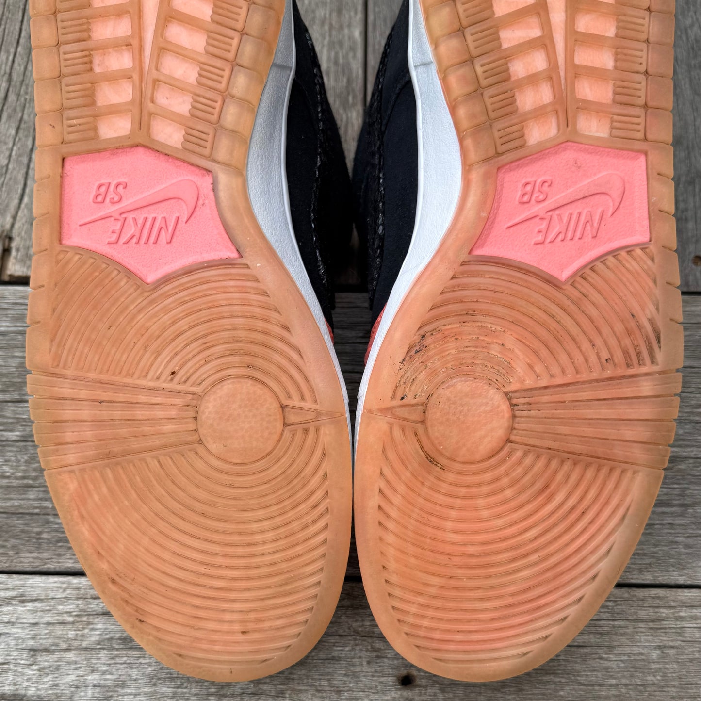 Nike SB Dunk Low Fish Ladder Size 12